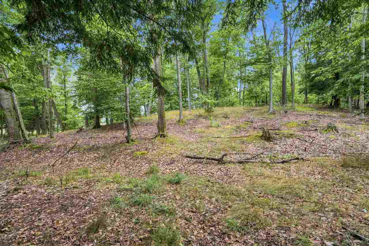 1222 Timber Pass Unit: Lot 16