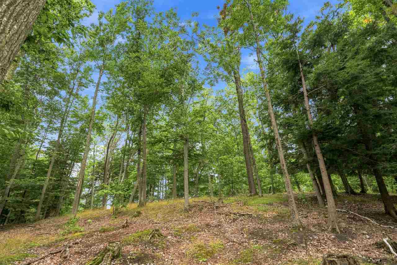 1222 Timber Pass Unit: Lot 16