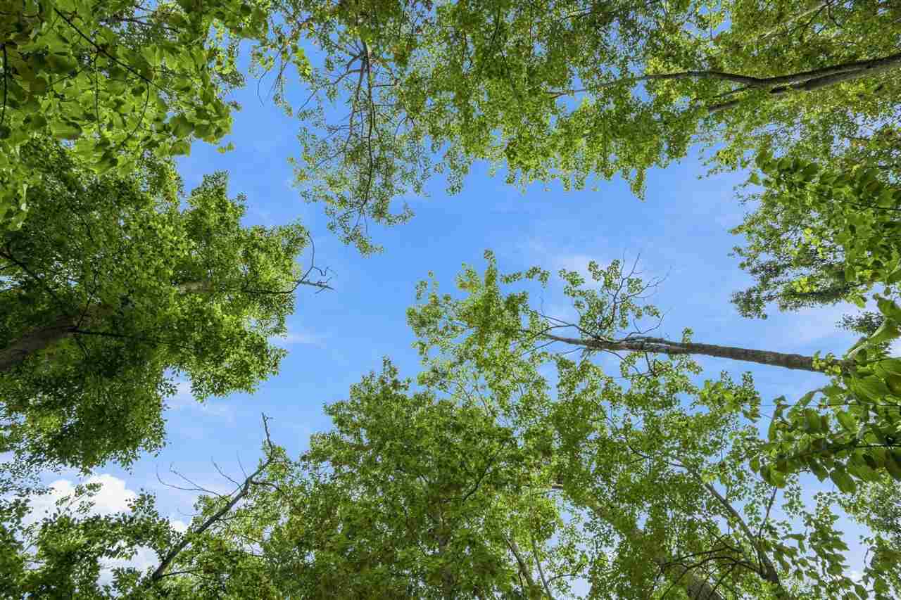1222 Timber Pass Unit: Lot 16