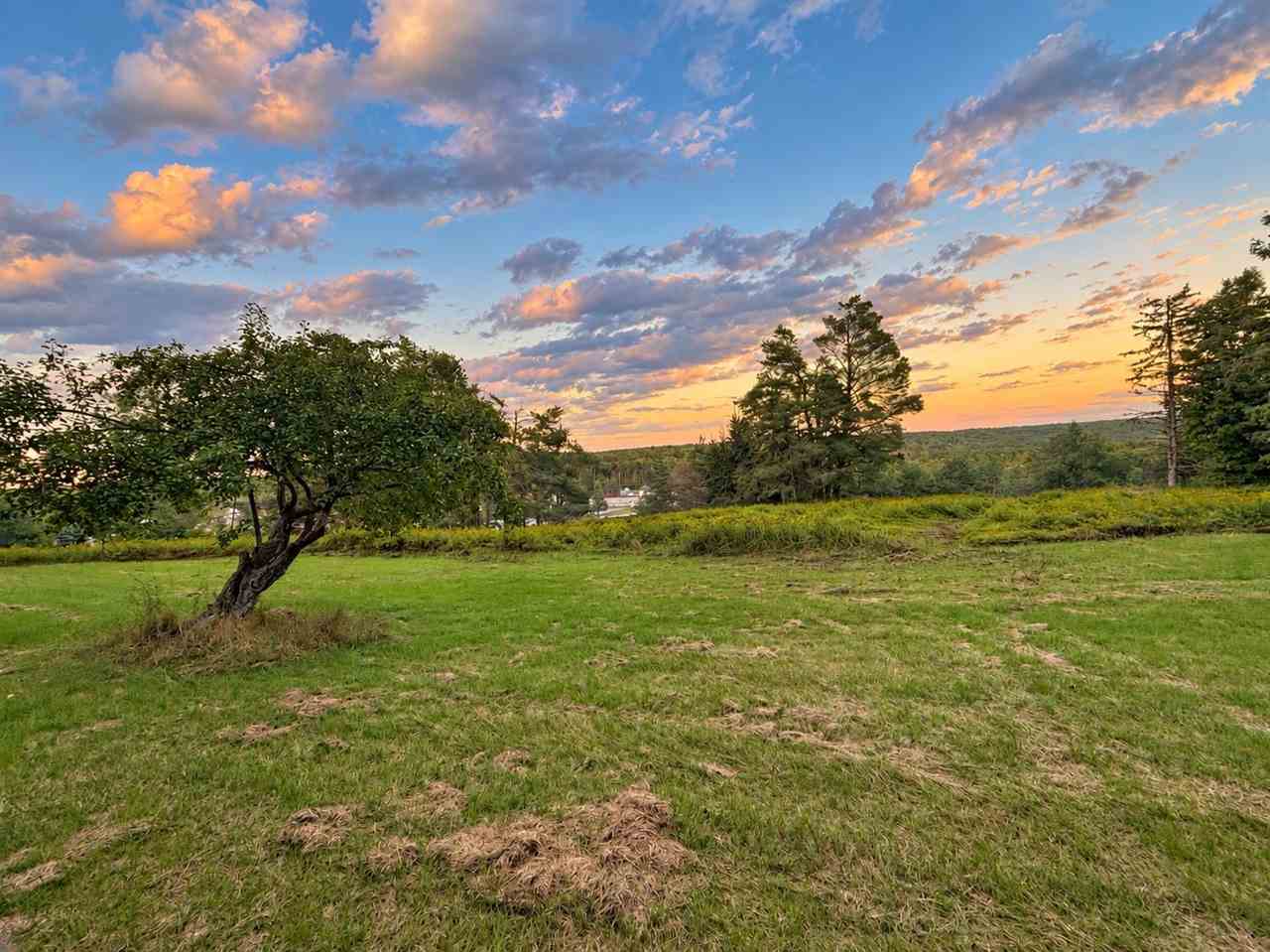 Grassy vacant property with scattered trees beneath a colorful sunset sky.