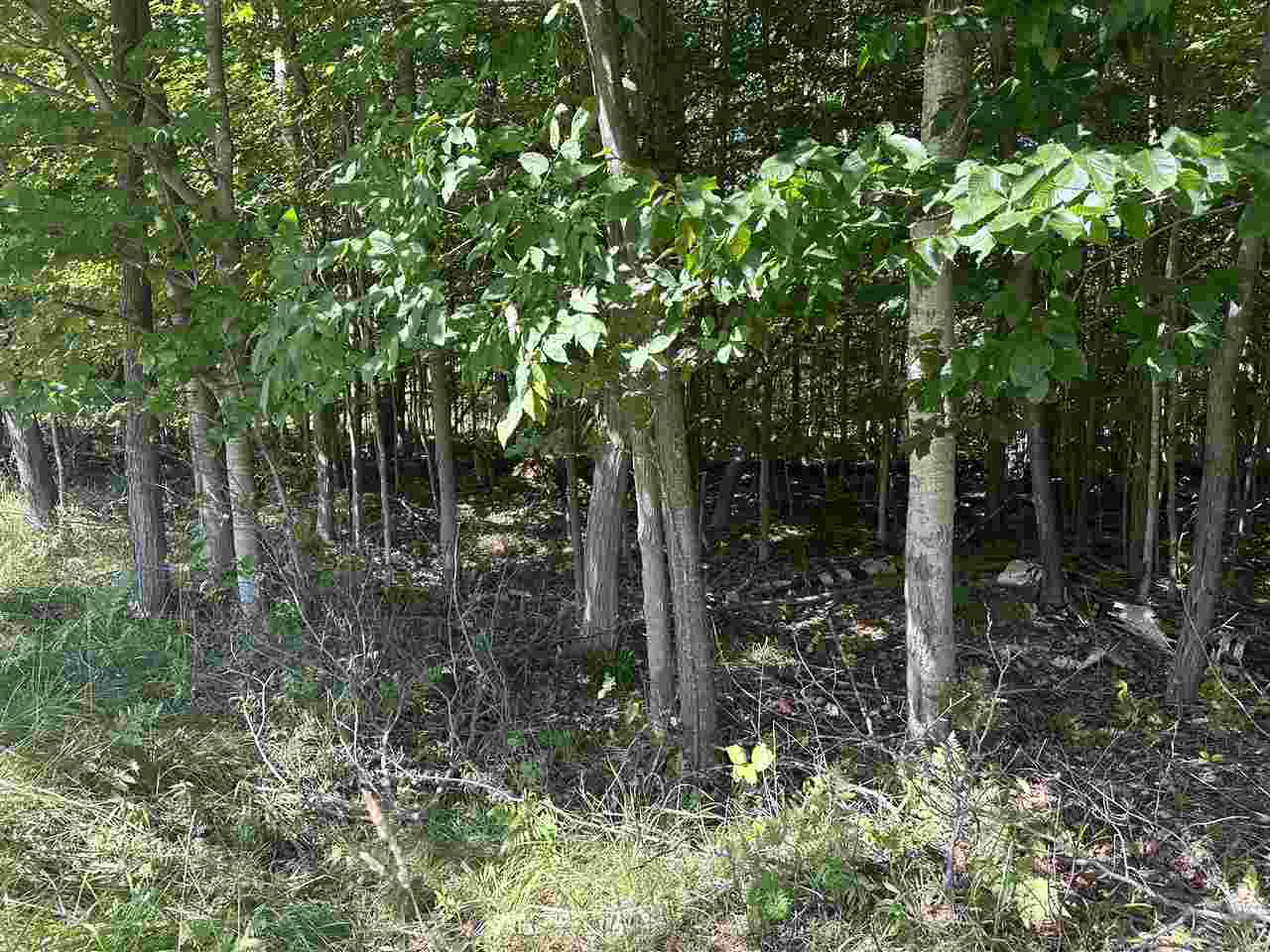 Lot 33,34,35 Bay Colony