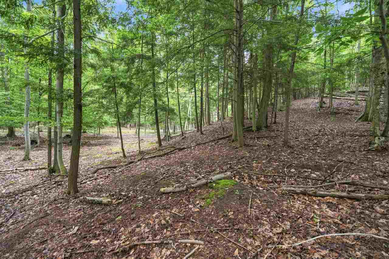 1358 Timber Pass
