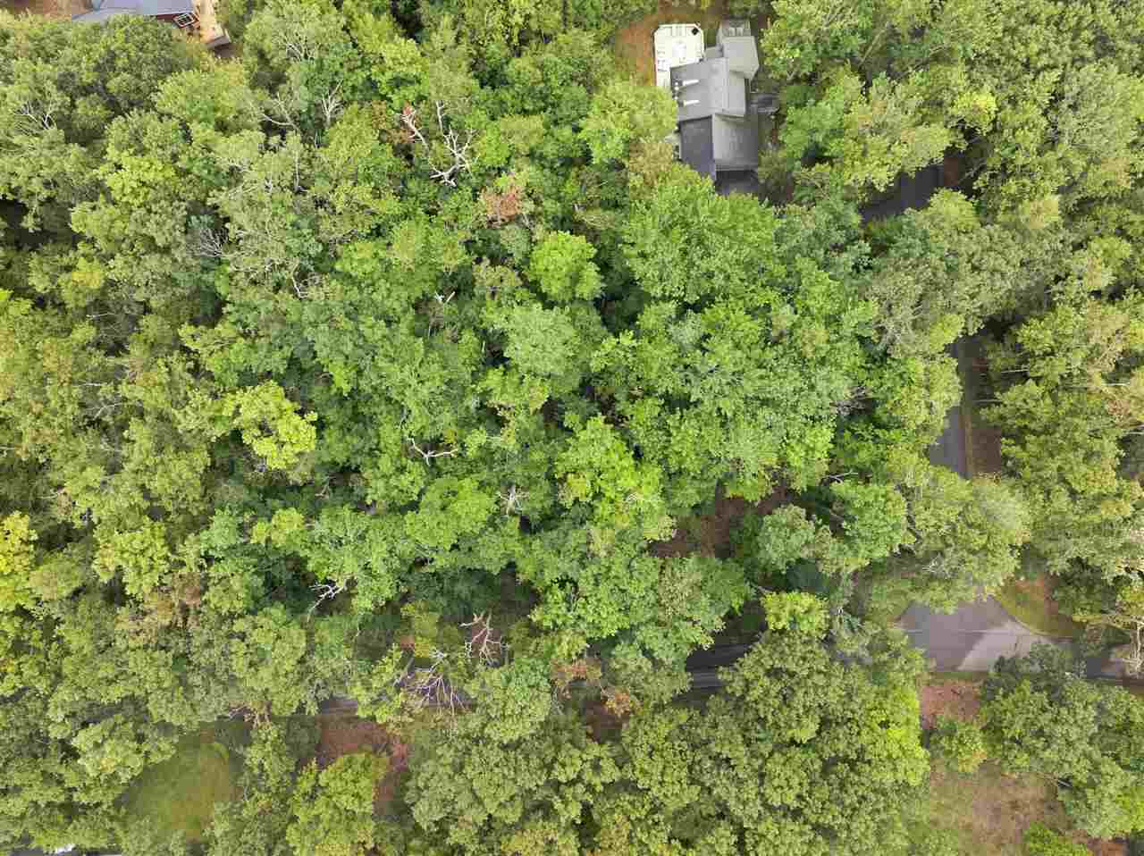 1358 Timber Pass