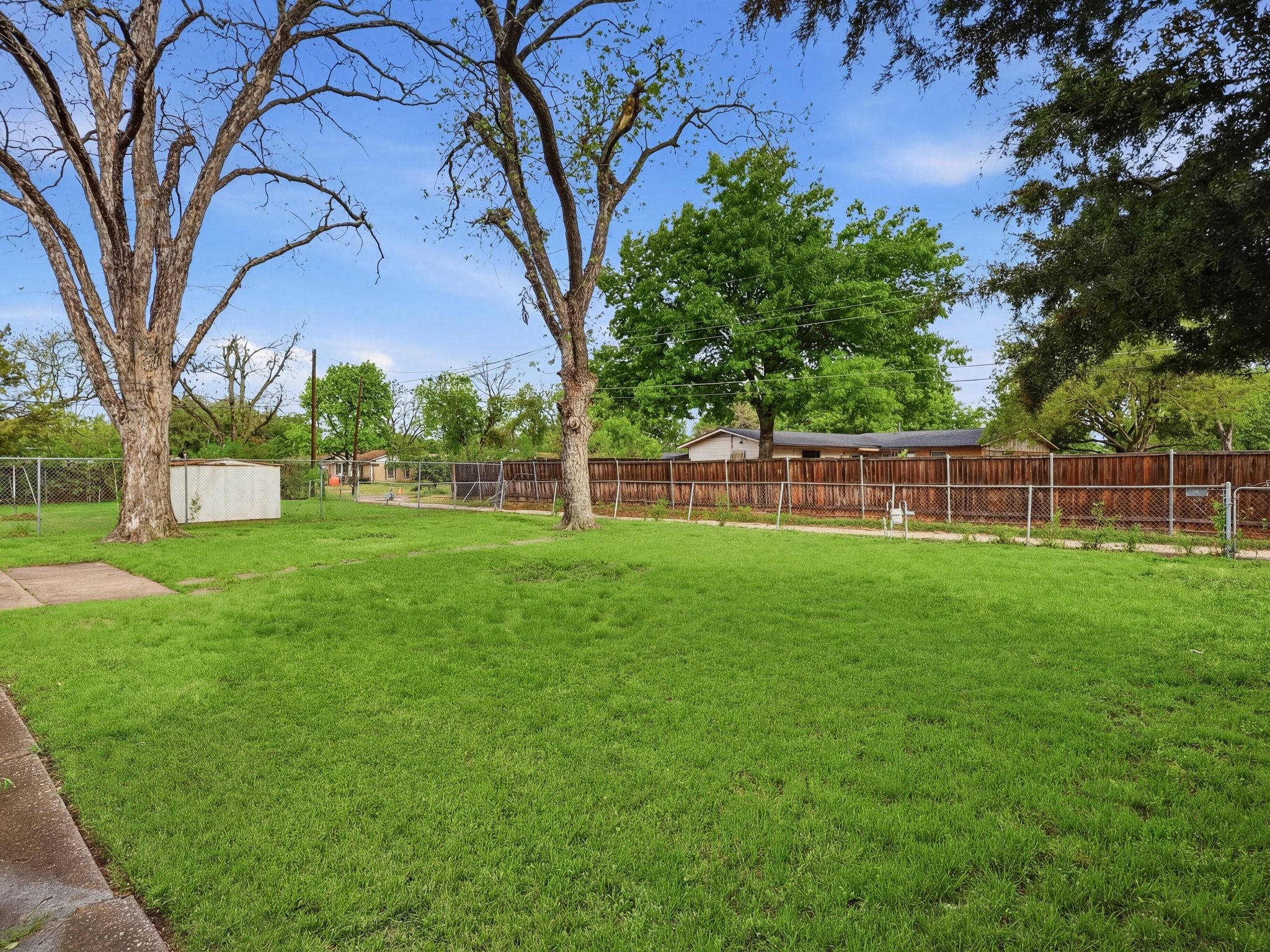 Spacious grassy backyard with mature trees, chain-link and wooden fences, and a small white shed.