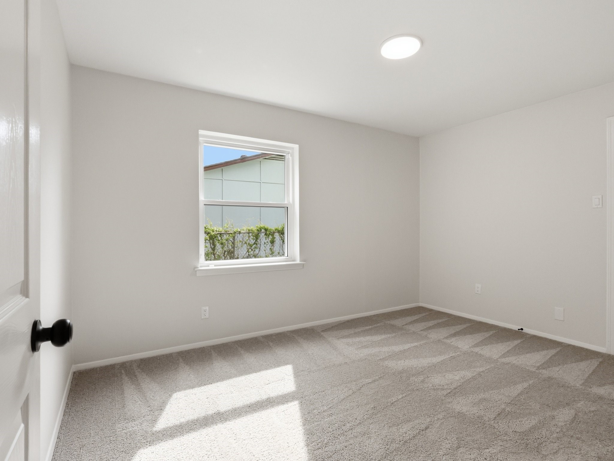 Empty bedroom with gray carpet, a single window, and sunlight across the floor.