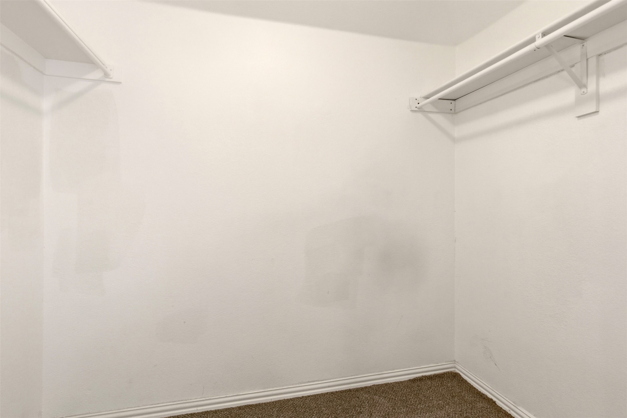 Empty closet with white clothing rods and shelves above brown carpet.
