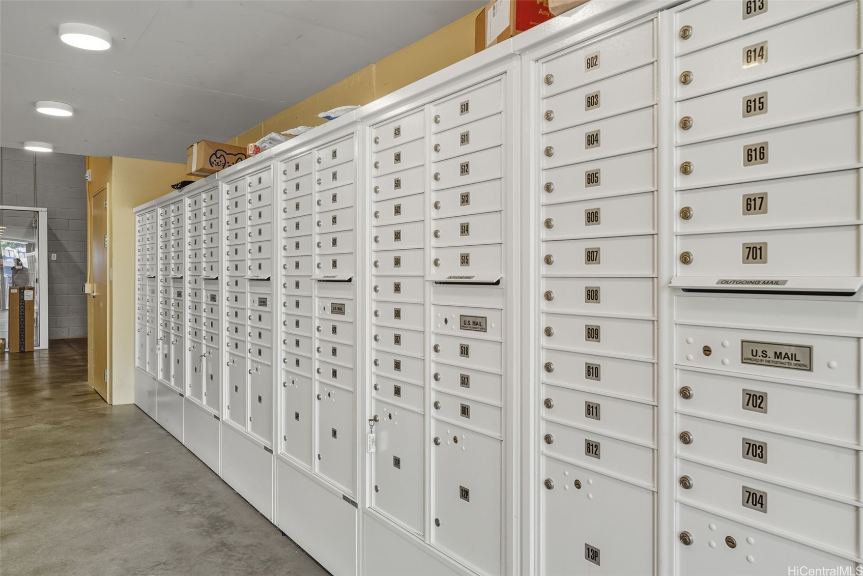 803 Waimanu Street 214