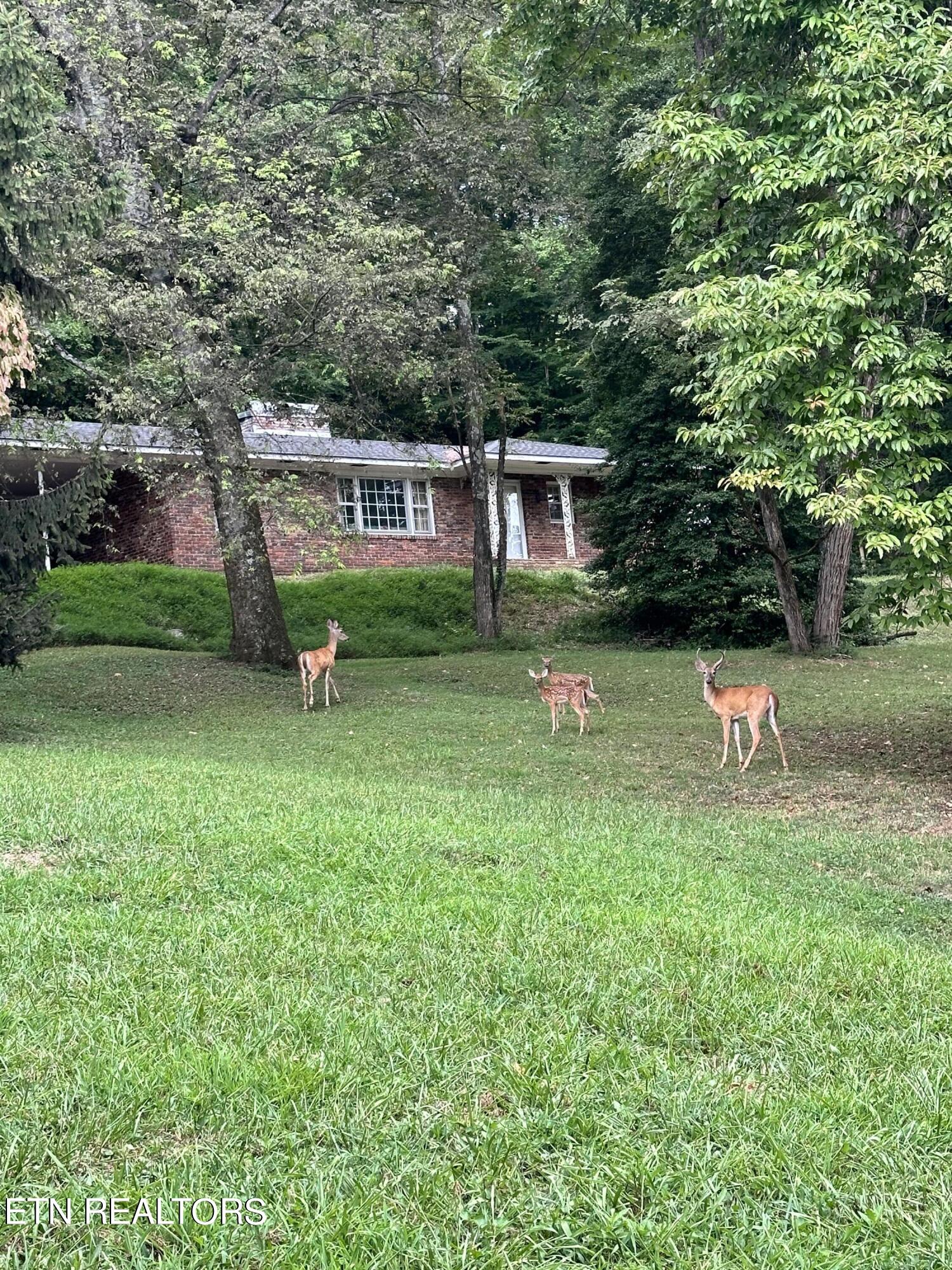 246 Bluff Rd