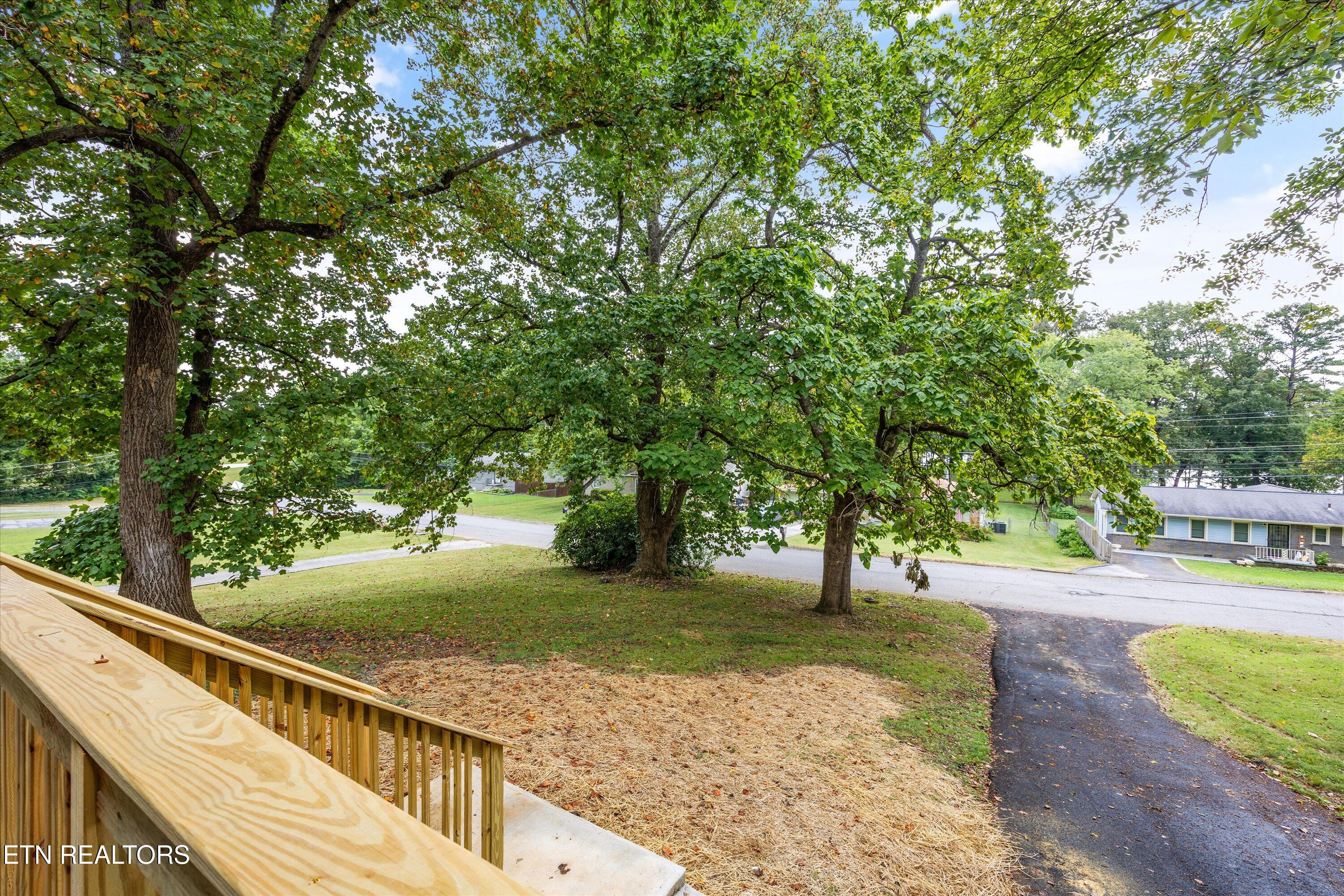 3241 Wilderness Rd