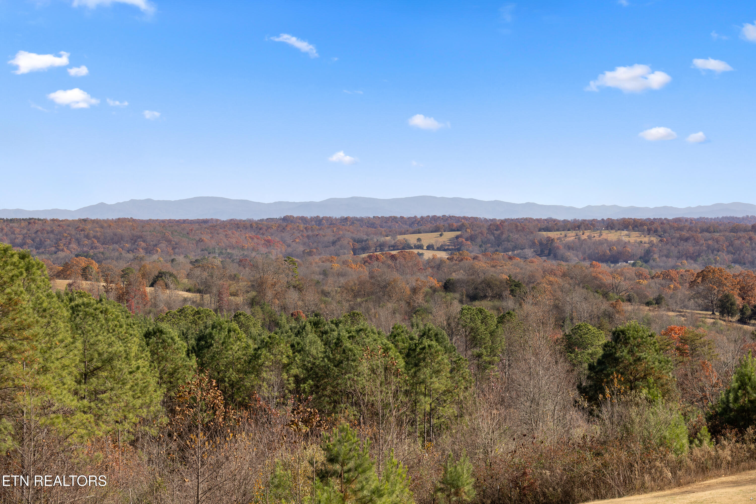 1390 County Road 3051