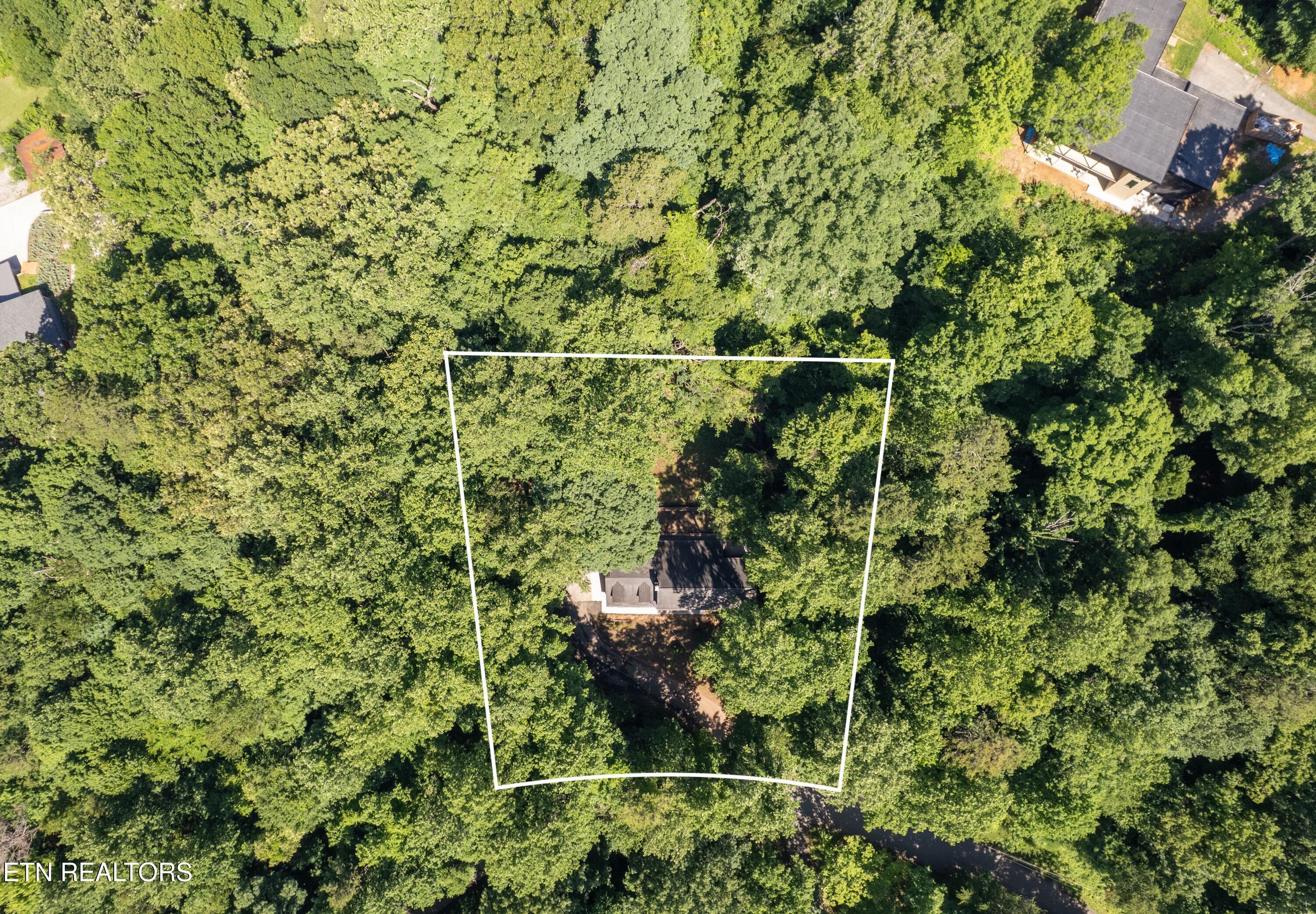 2529 Tall Pine Lane