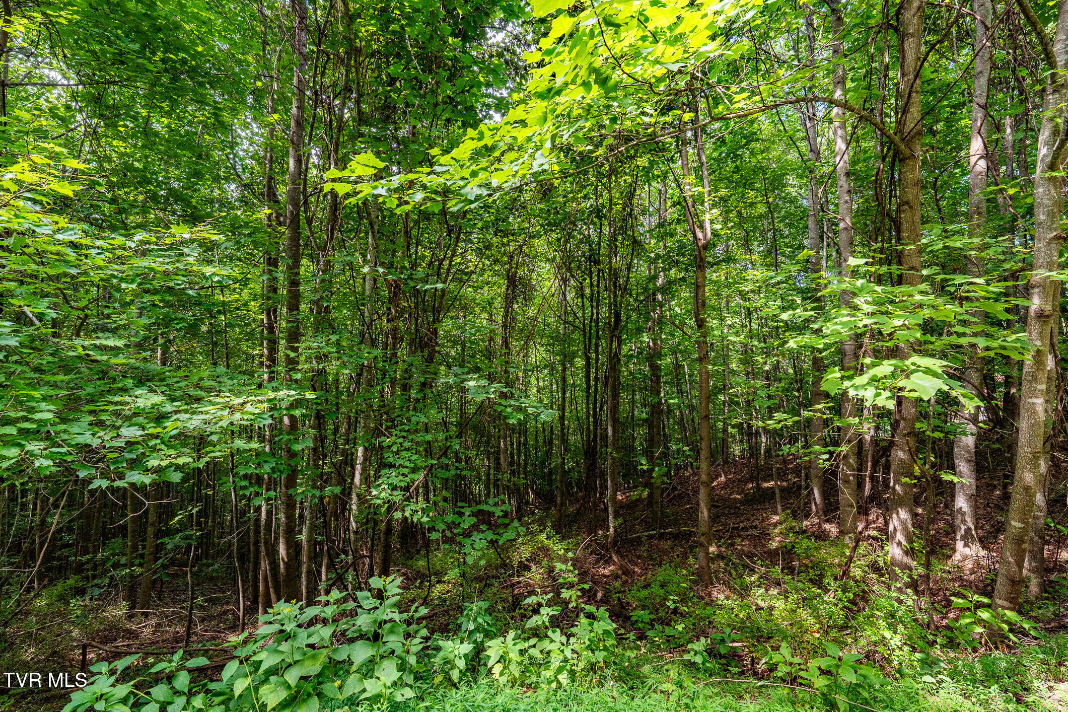 Lot 22/23 High Point Drive
