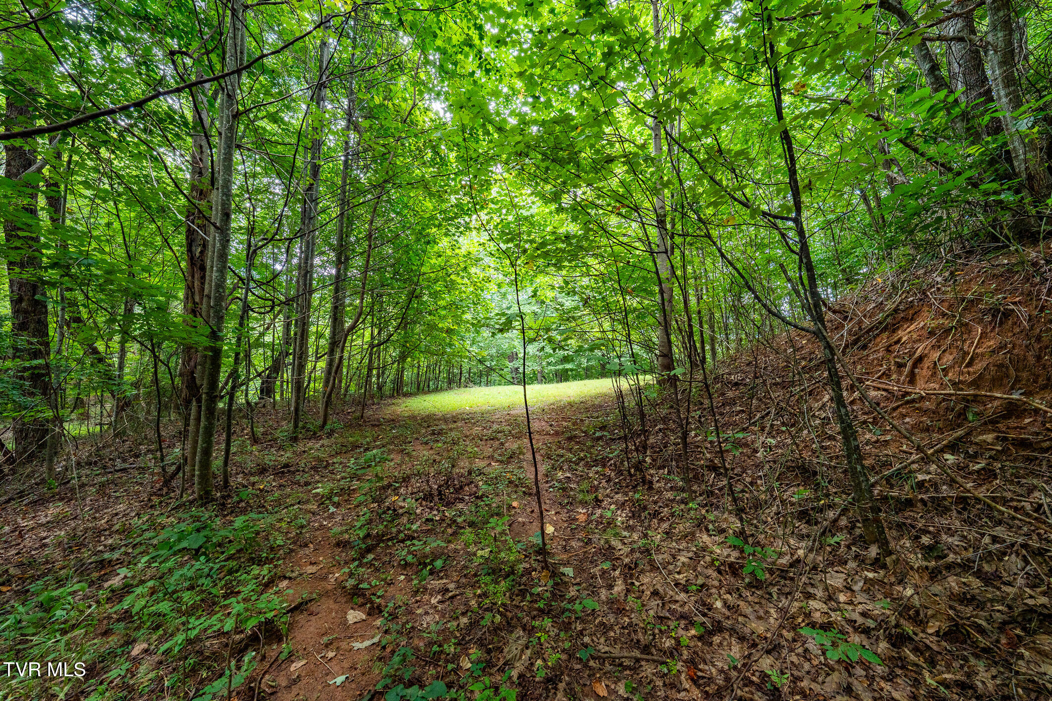 Lot 22/23 High Point Drive