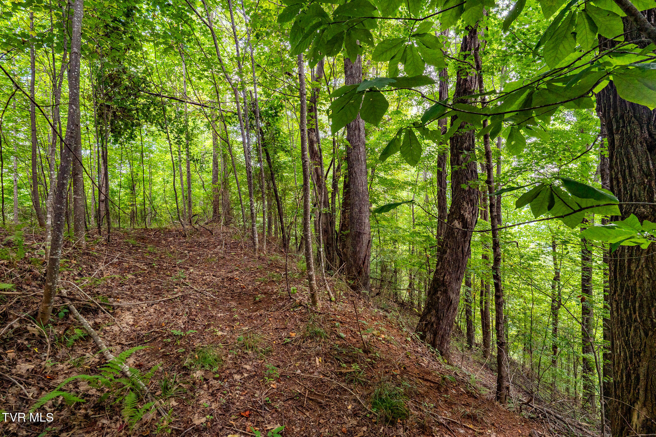 Lot 22/23 High Point Drive
