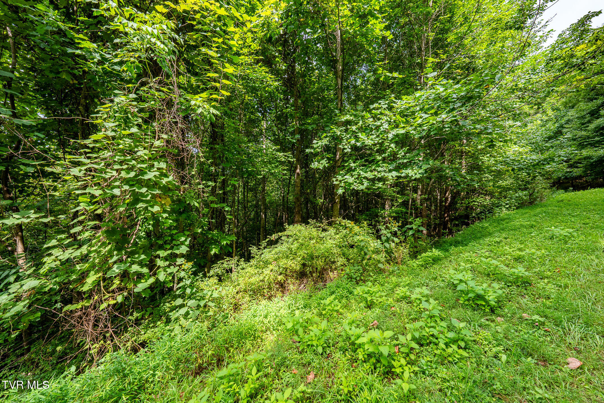 Lot 22/23 High Point Drive