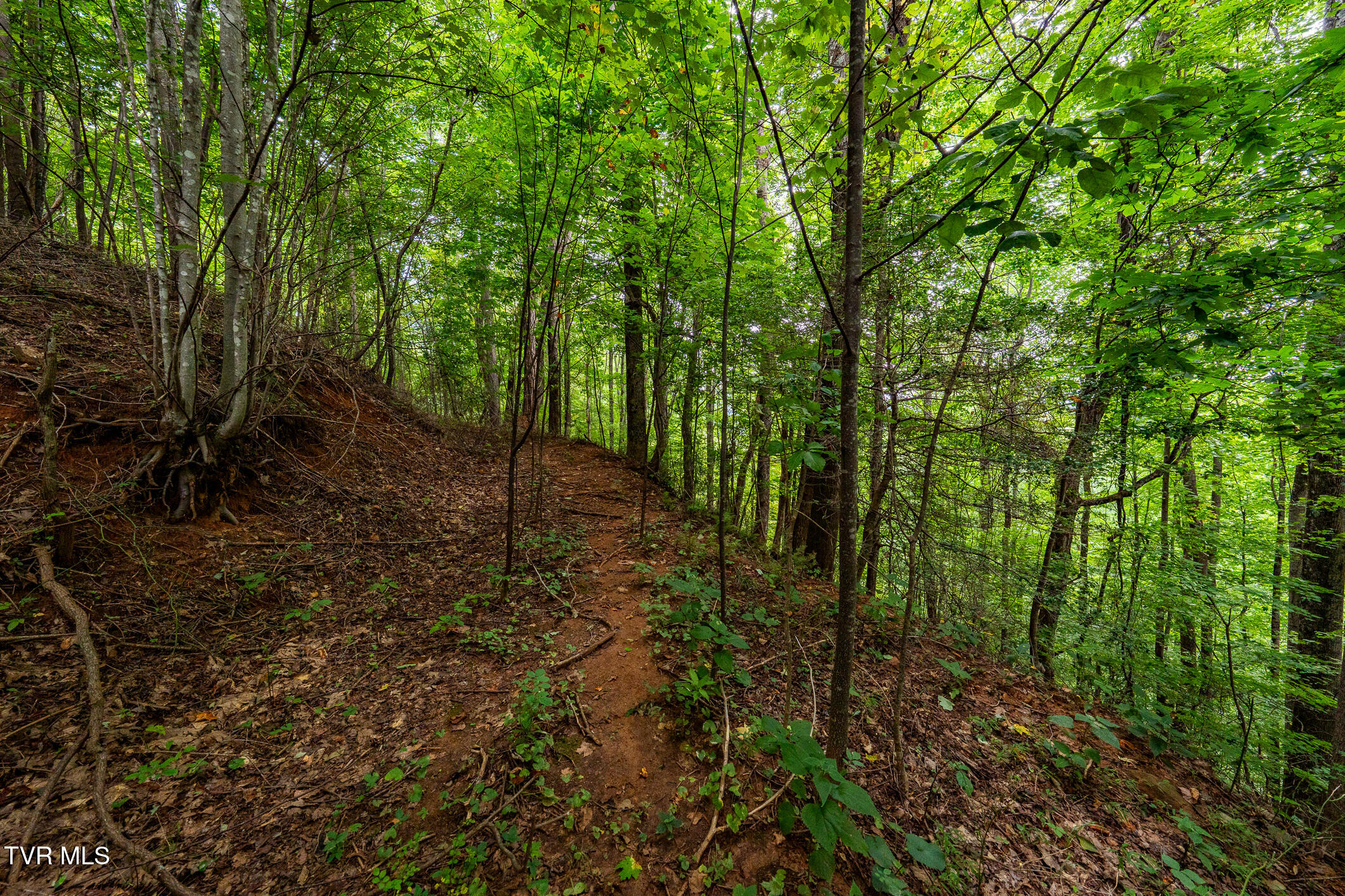 Lot 22/23 High Point Drive