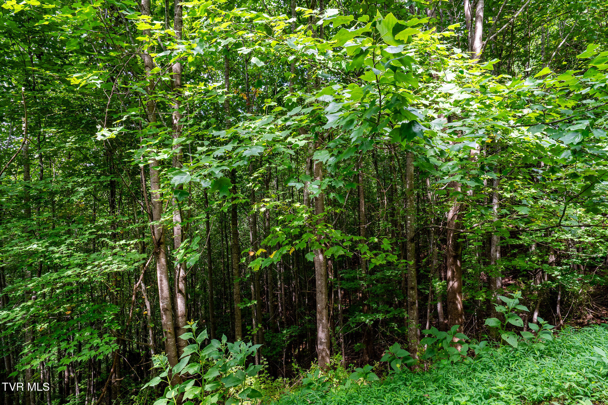 Lot 22/23 High Point Drive