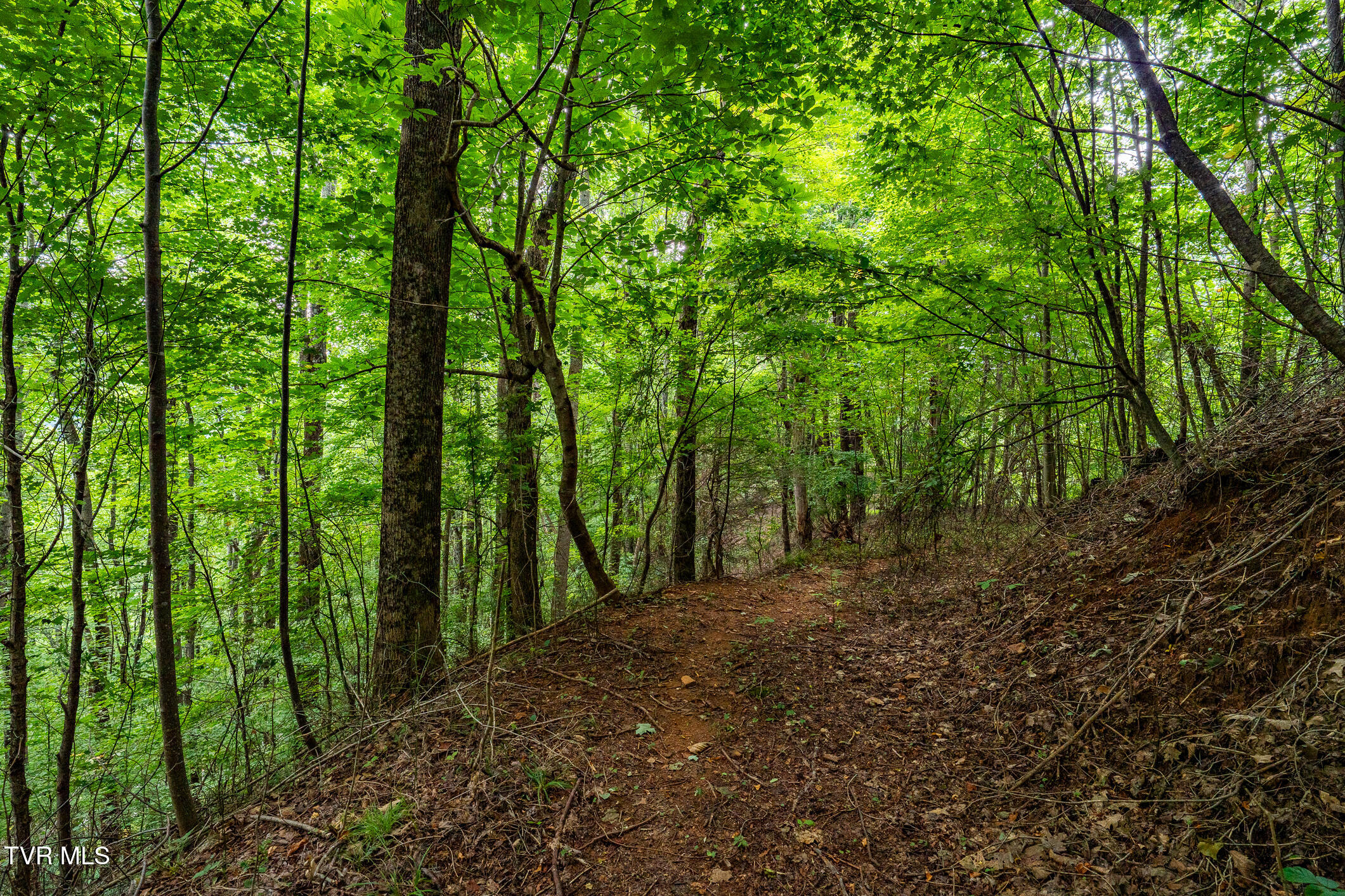 Lot 22/23 High Point Drive