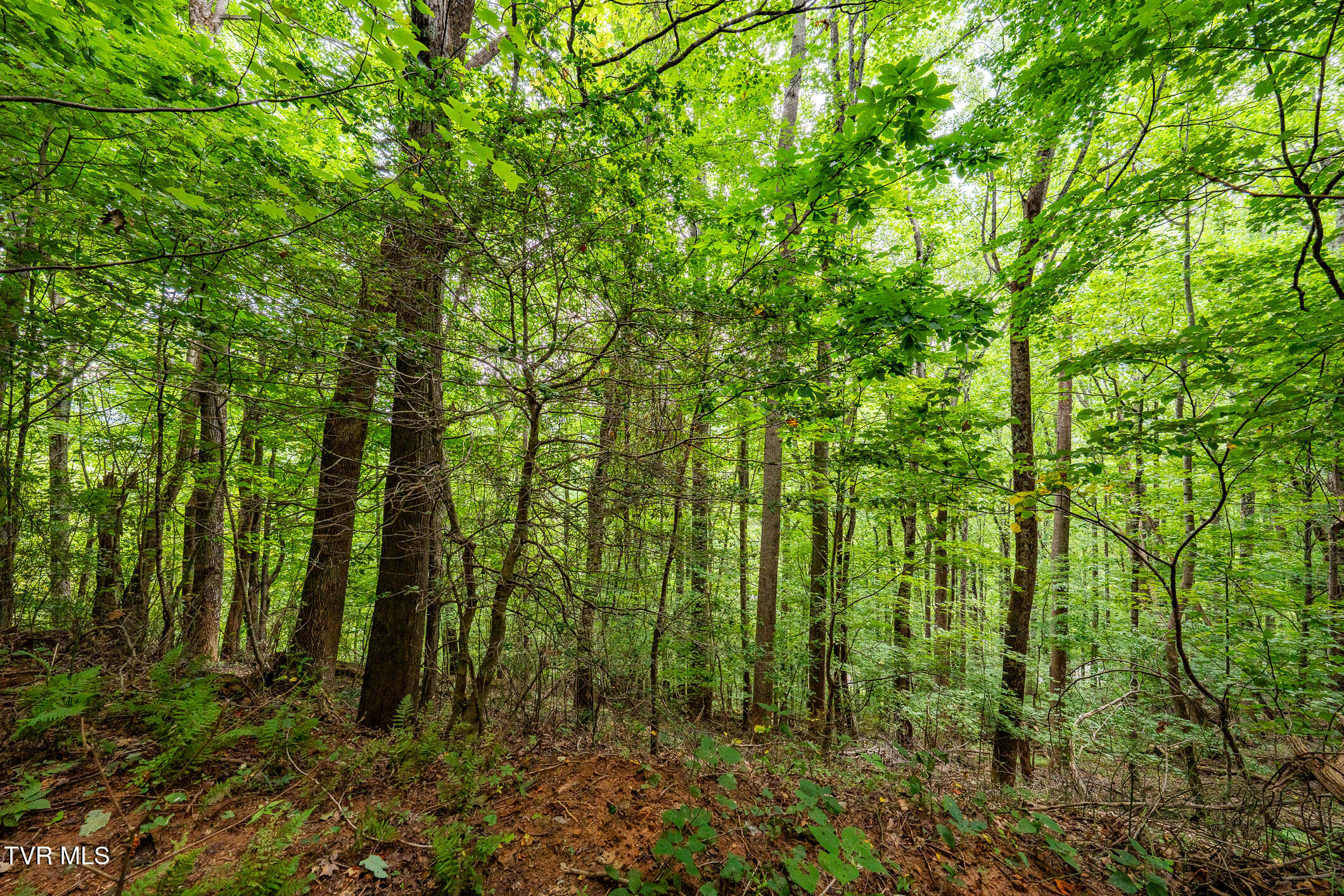 Lot 22/23 High Point Drive