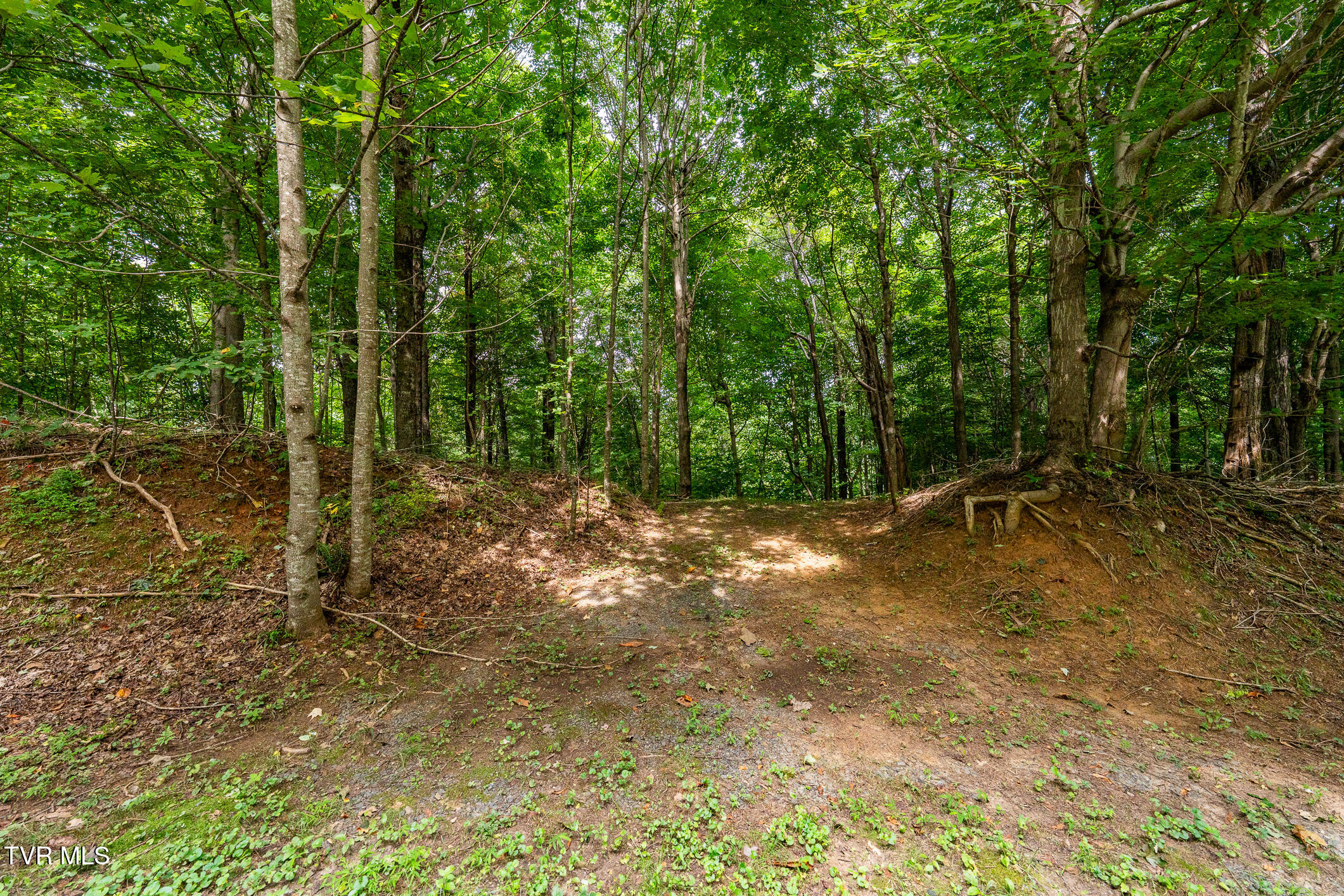 Lot 16 High Point Drive