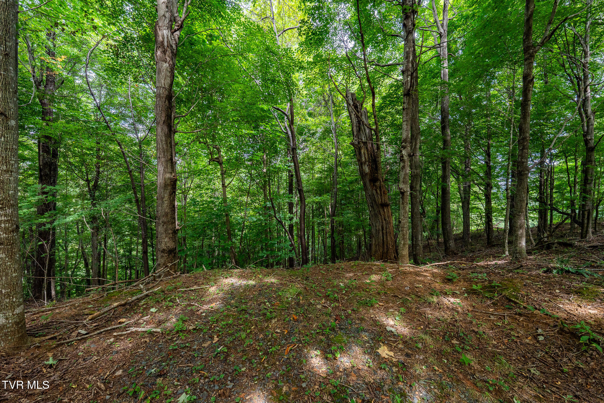 Lot 16 High Point Drive