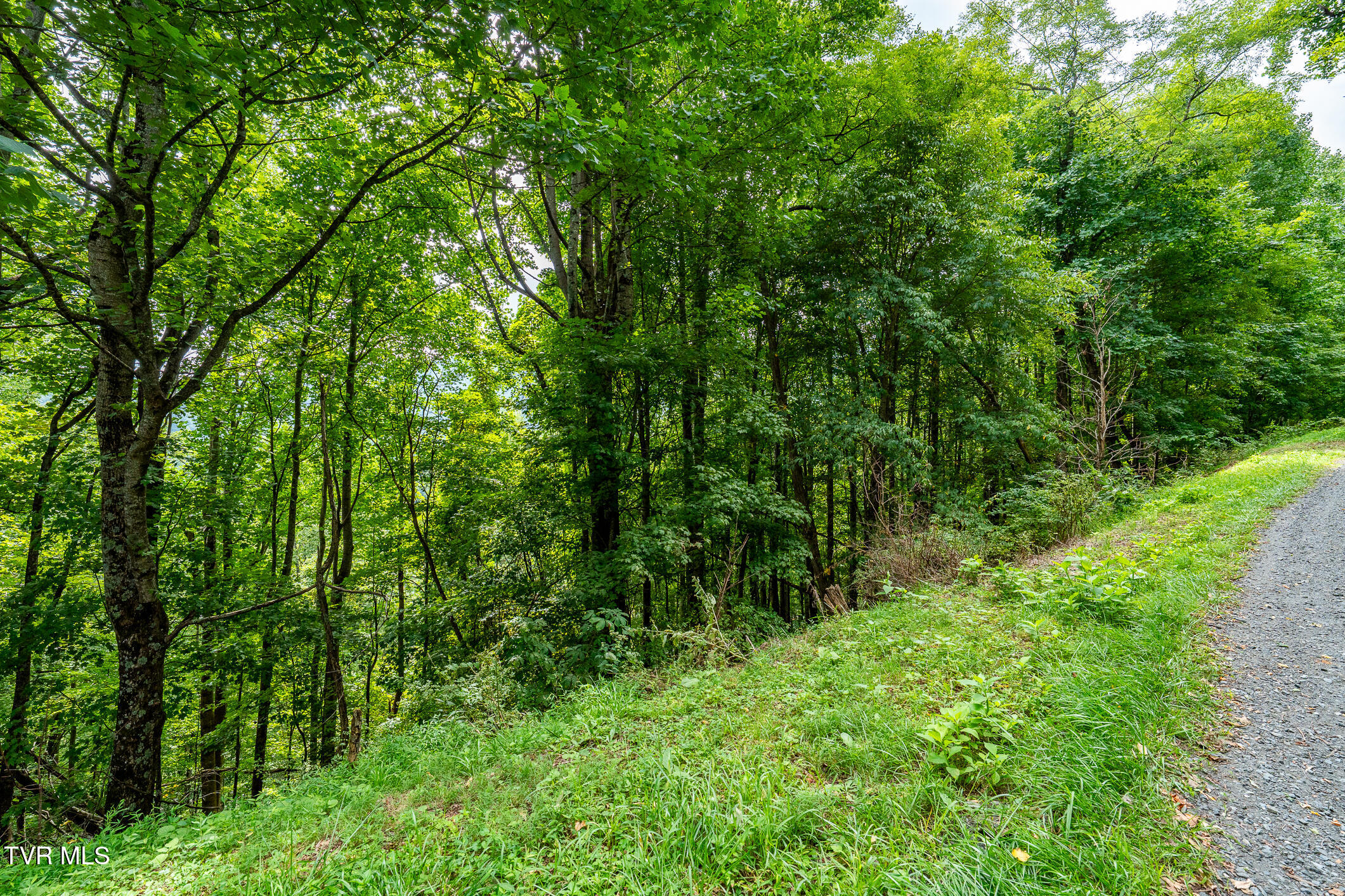 Lot 16 High Point Drive