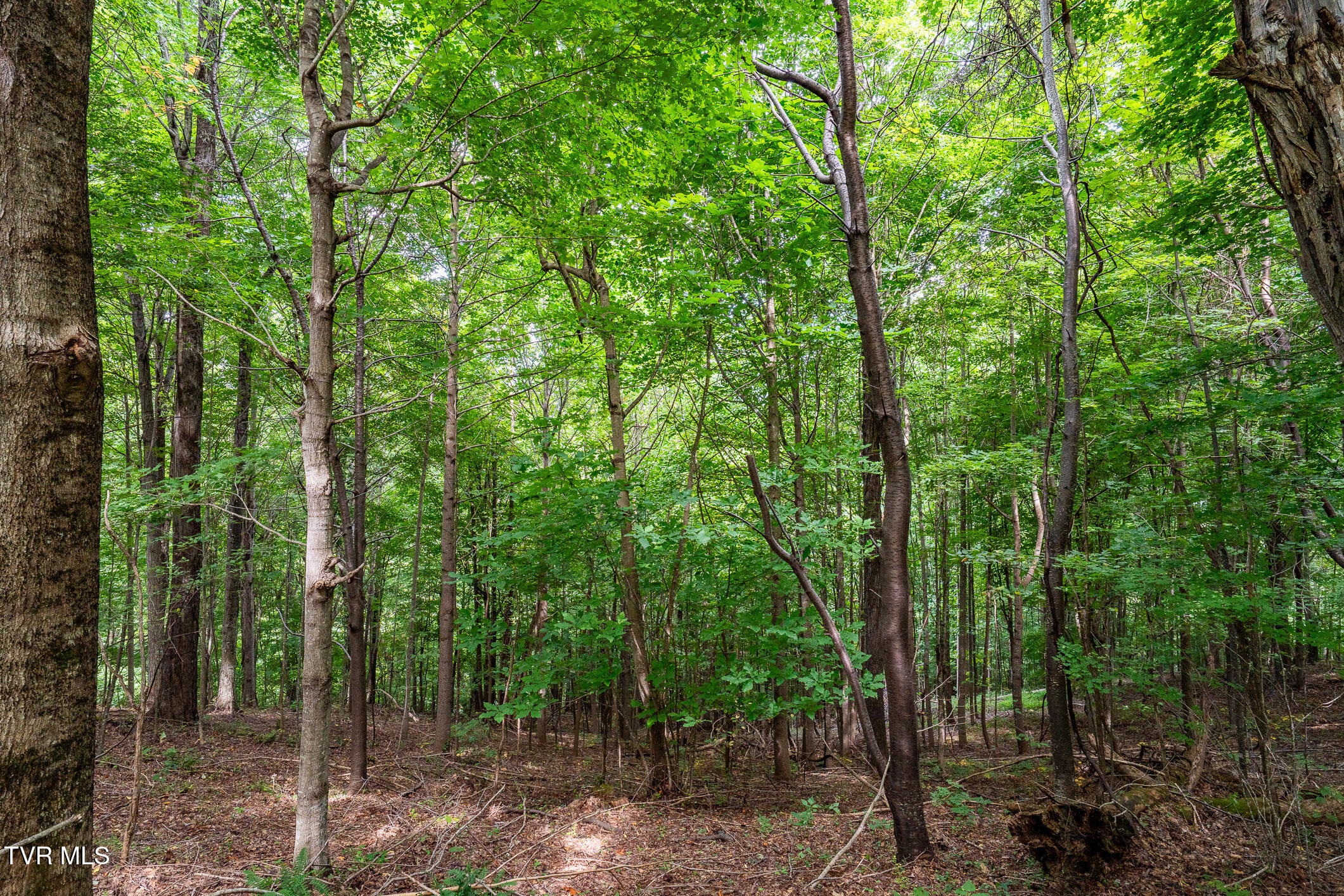 Lot 16 High Point Drive