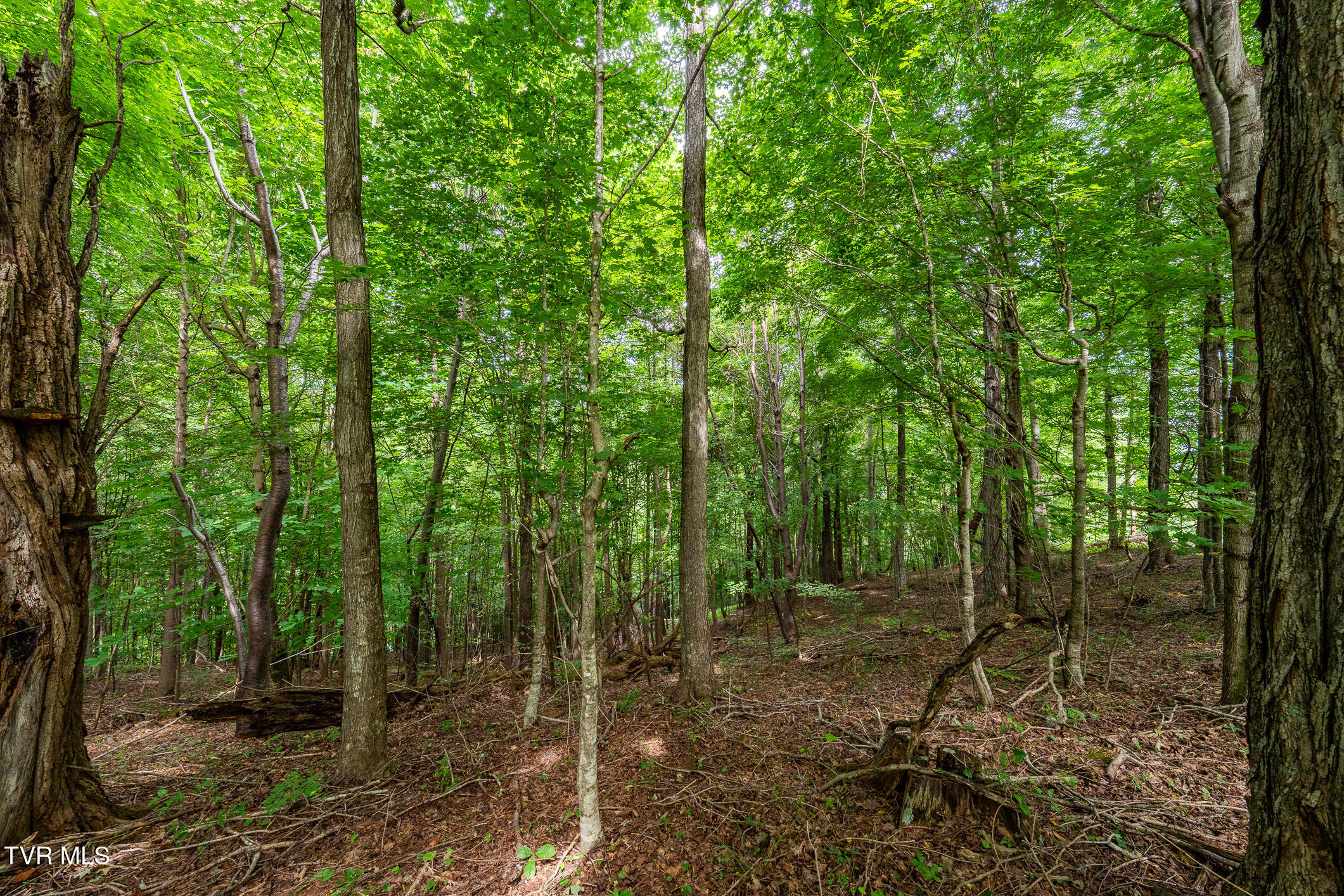 Lot 16 High Point Drive