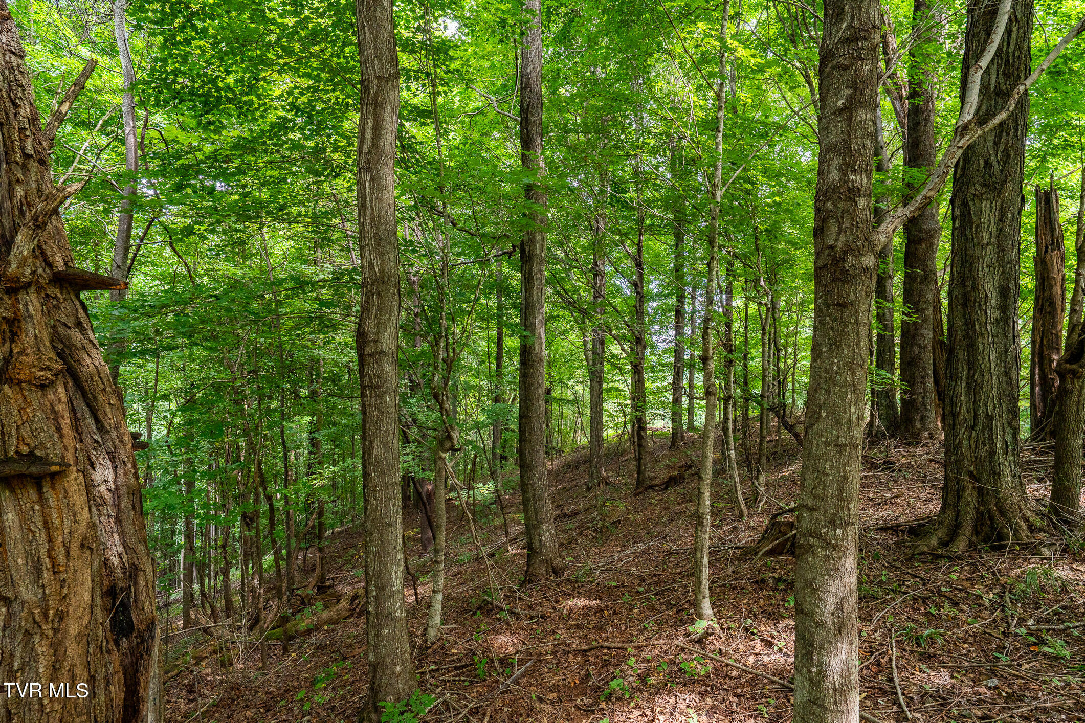 Lot 16 High Point Drive