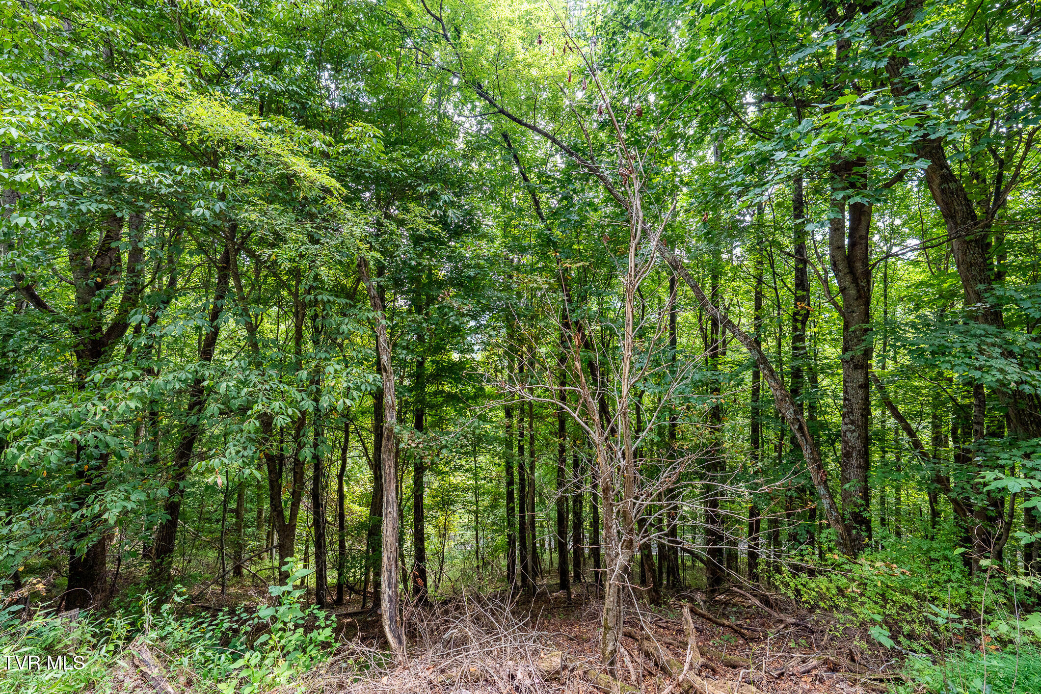 Lot 16 High Point Drive