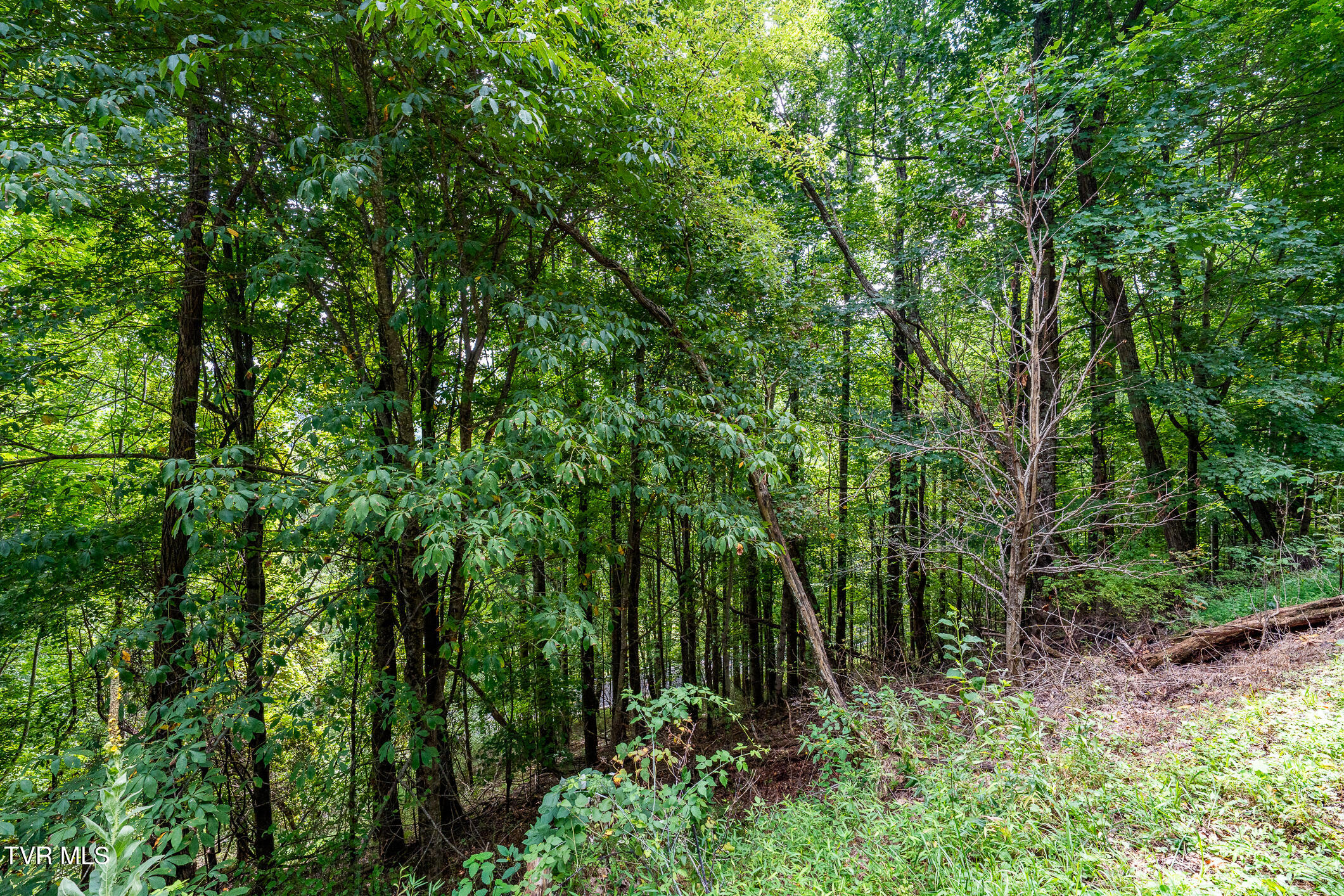 Lot 16 High Point Drive