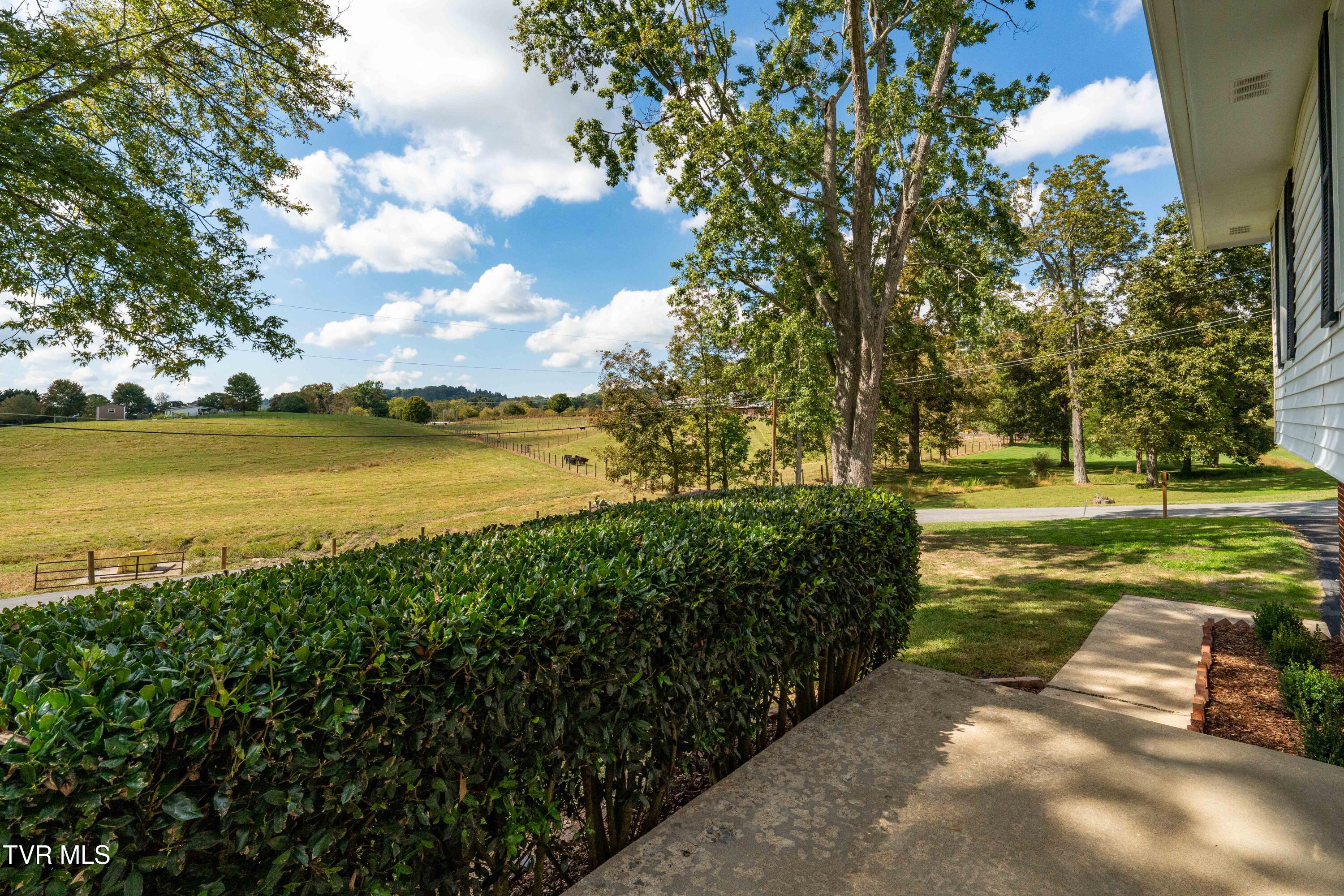 118 Greenmeadow Lane