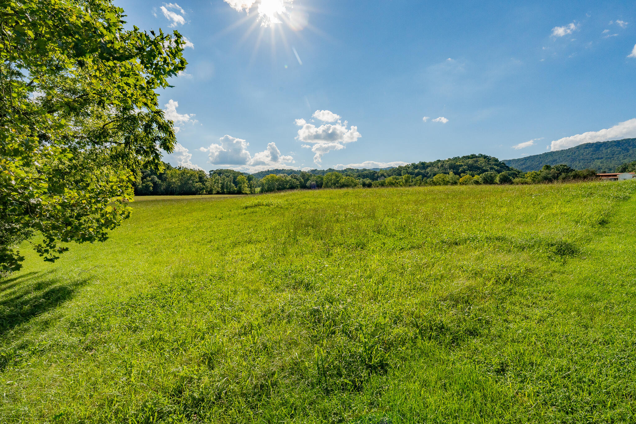 3419 Potato Hill Road