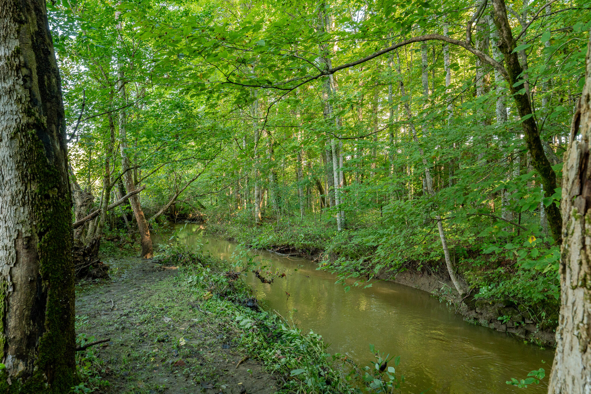 3419 Potato Hill Road