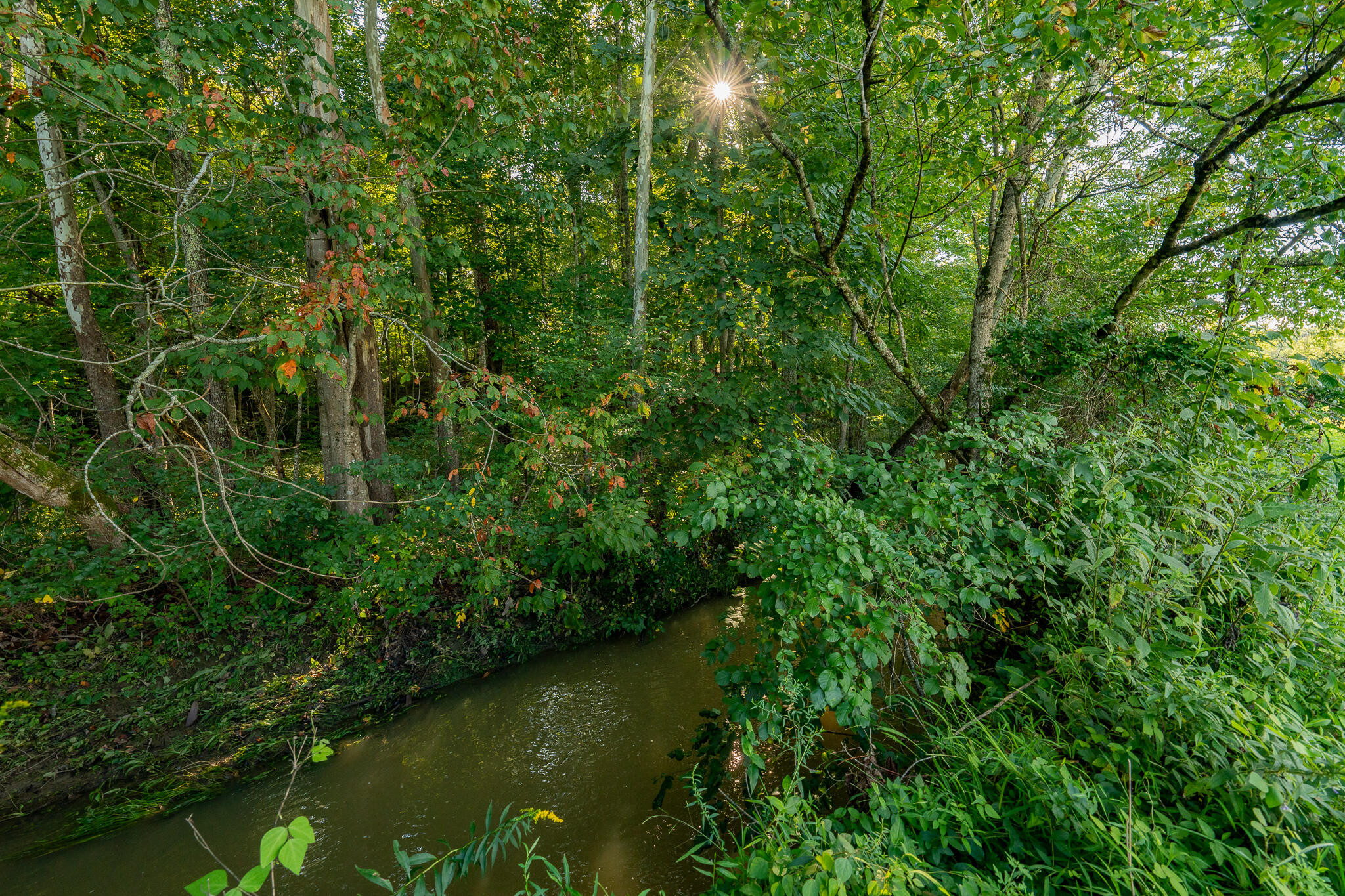 3419 Potato Hill Road