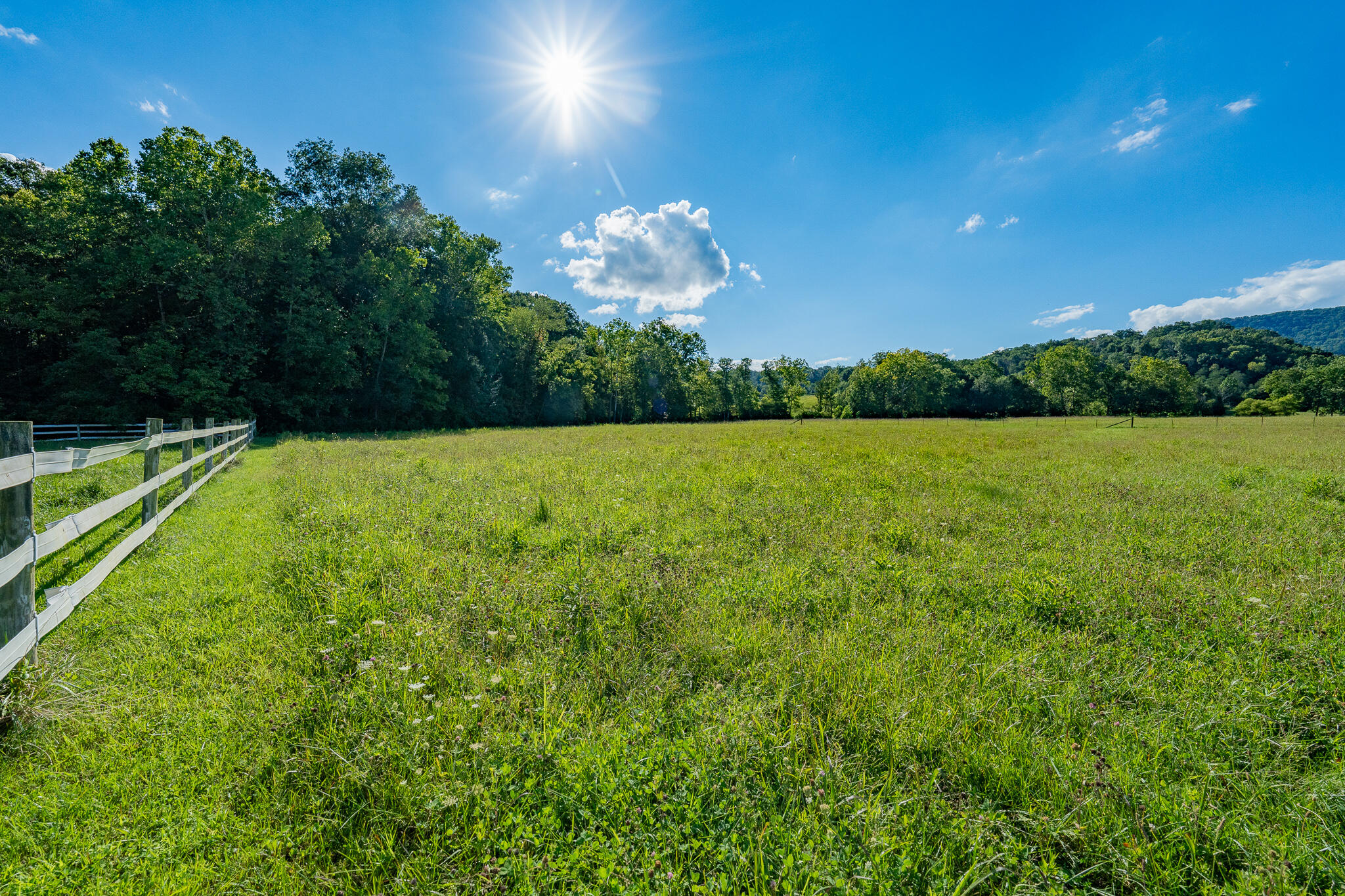 3419 Potato Hill Road