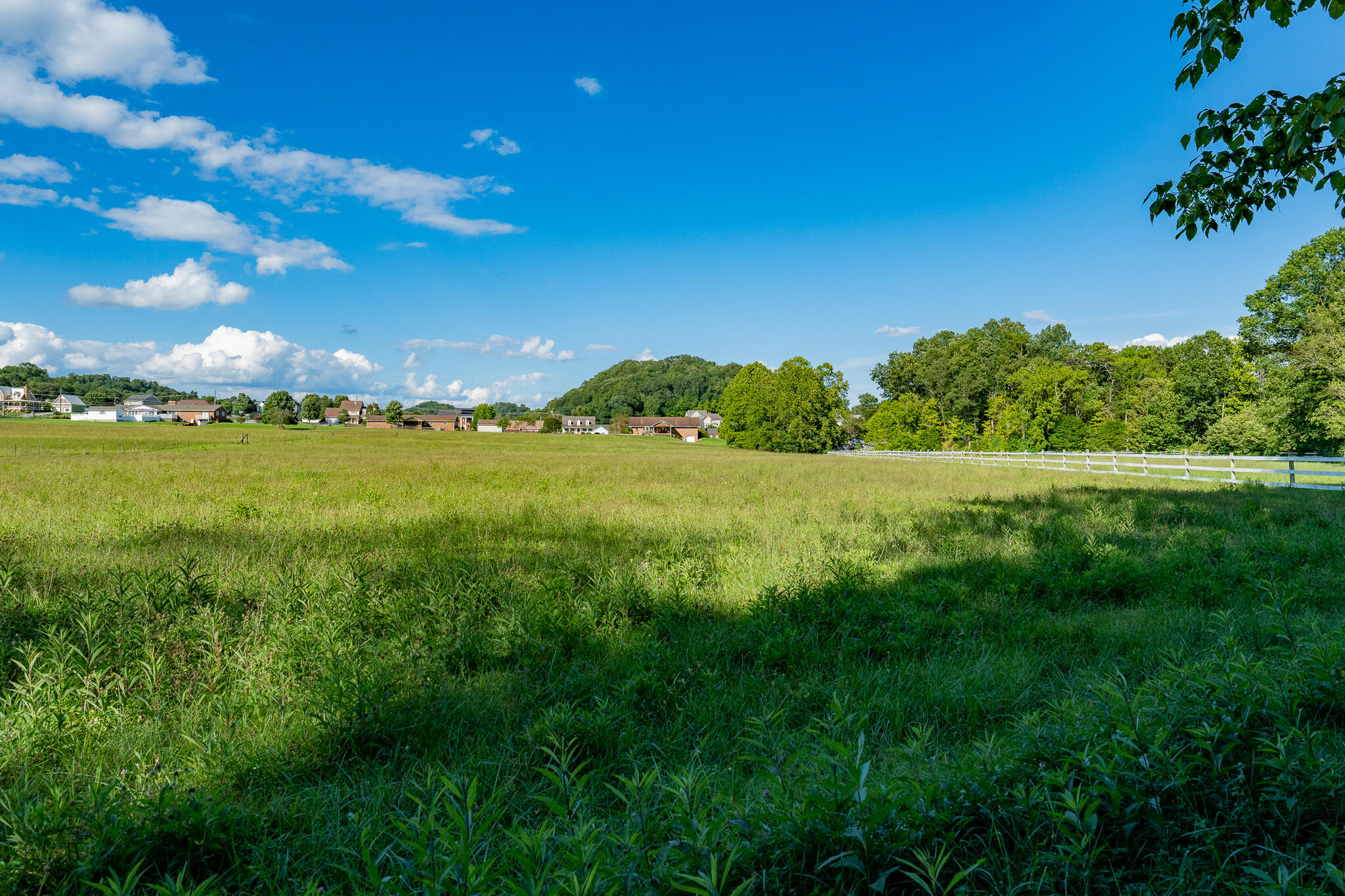 3419 Potato Hill Road