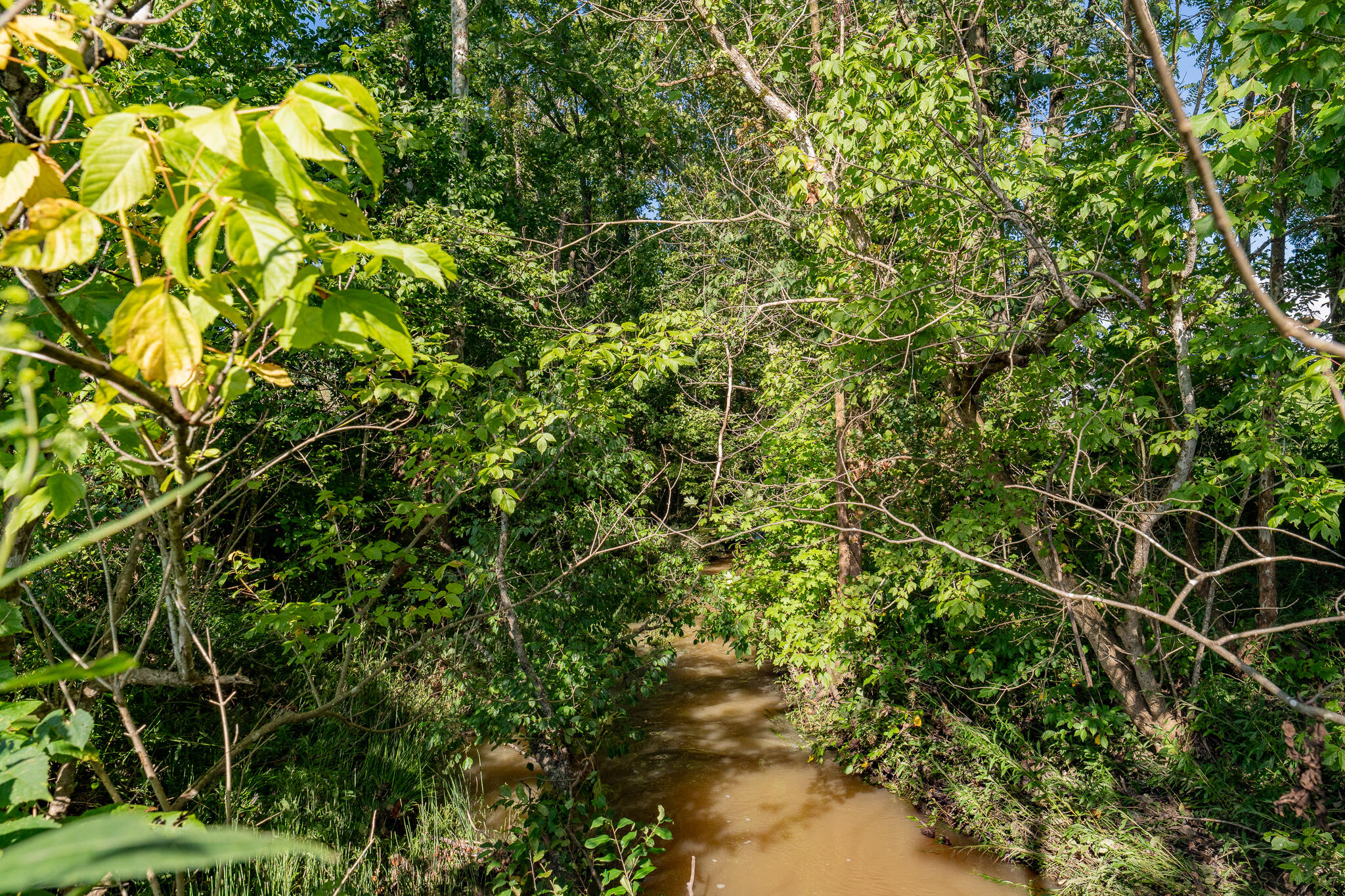3419 Potato Hill Road