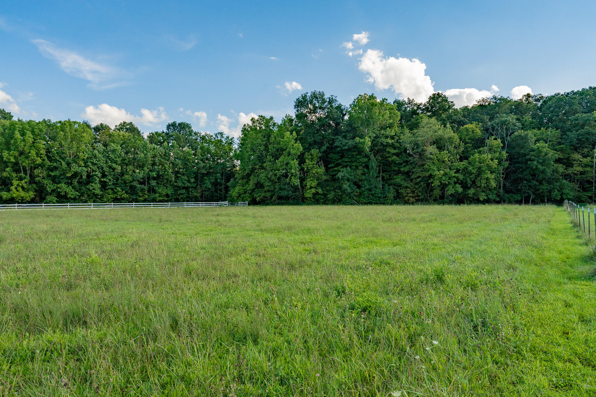 3419 Potato Hill Road