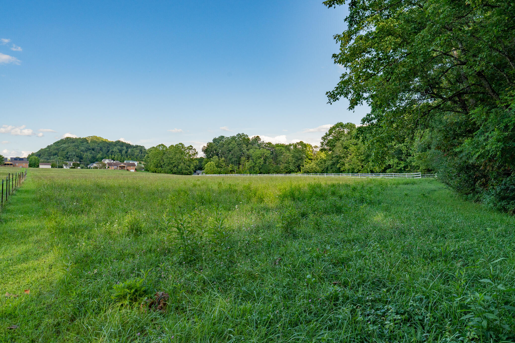 3419 Potato Hill Road