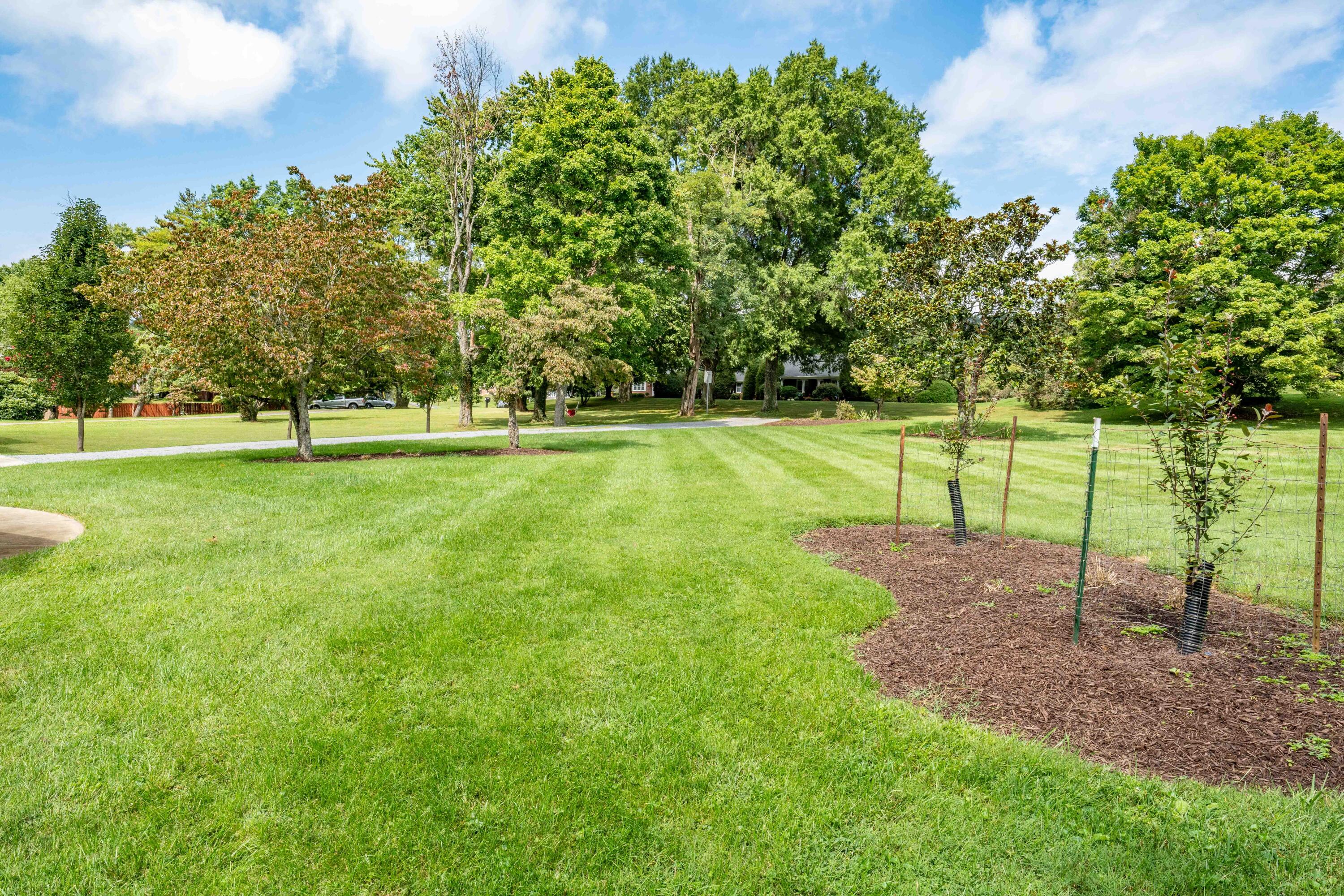 1461 Holston Drive
