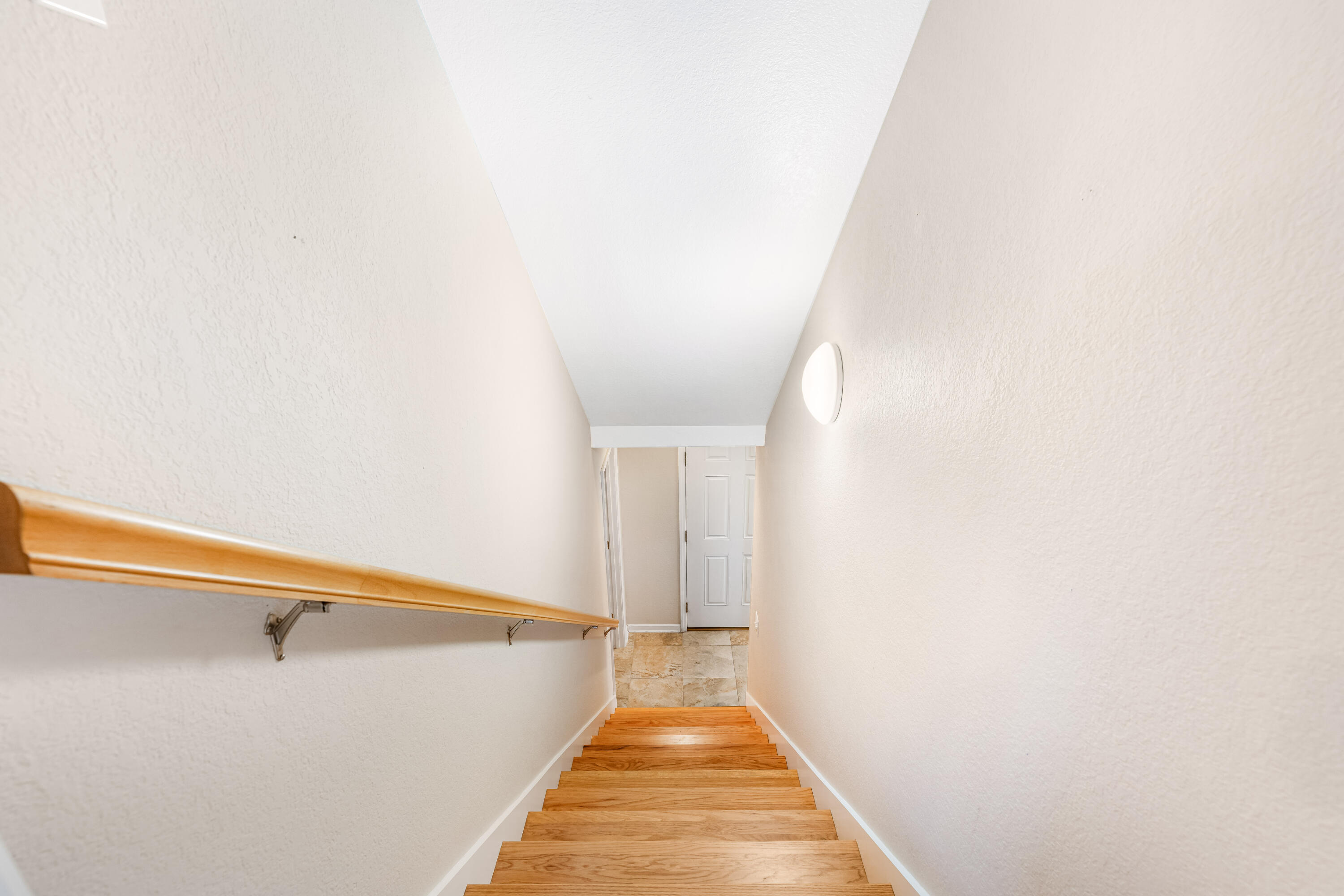 1461 Holston Drive