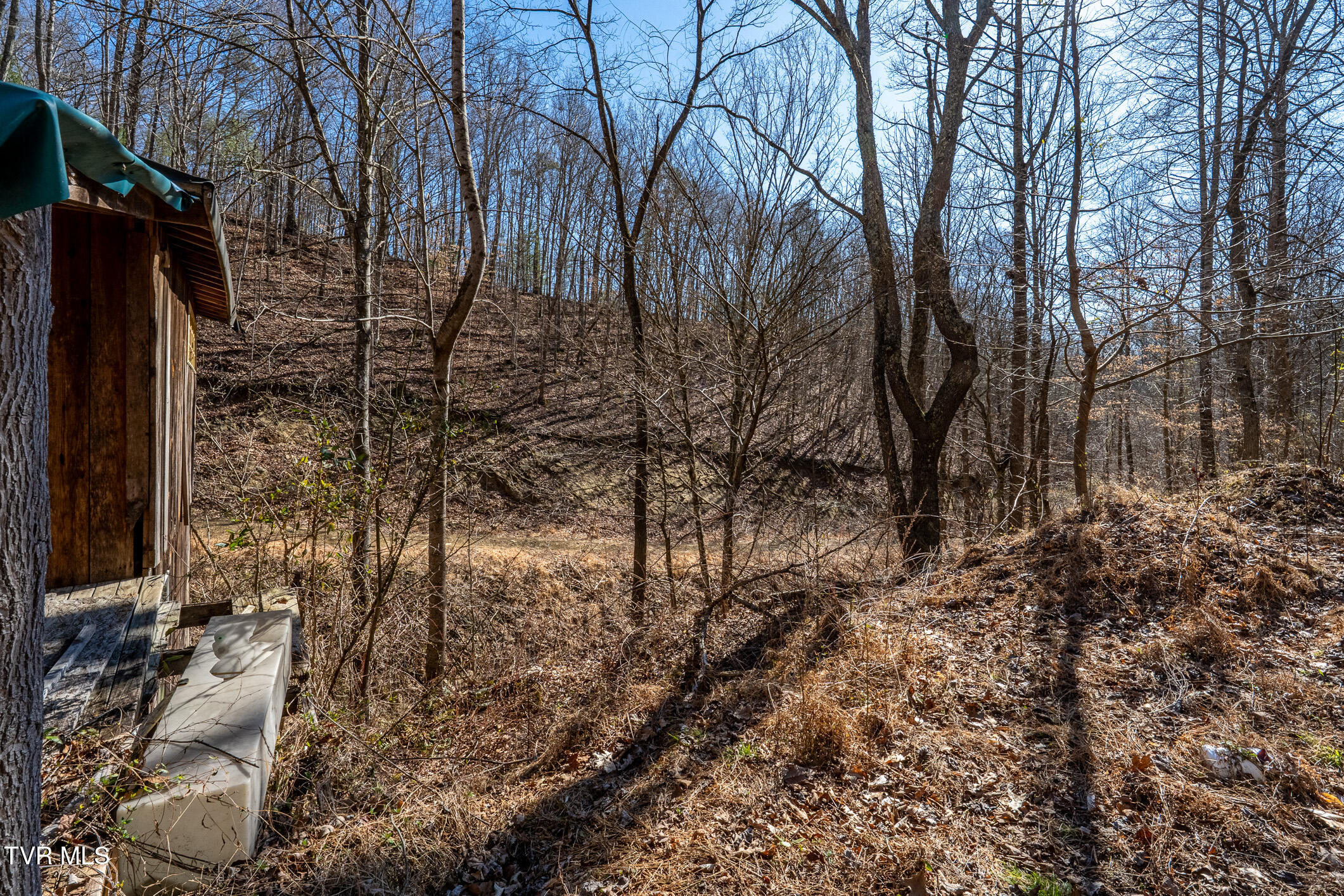 Tbd Old Carden Hollow Road