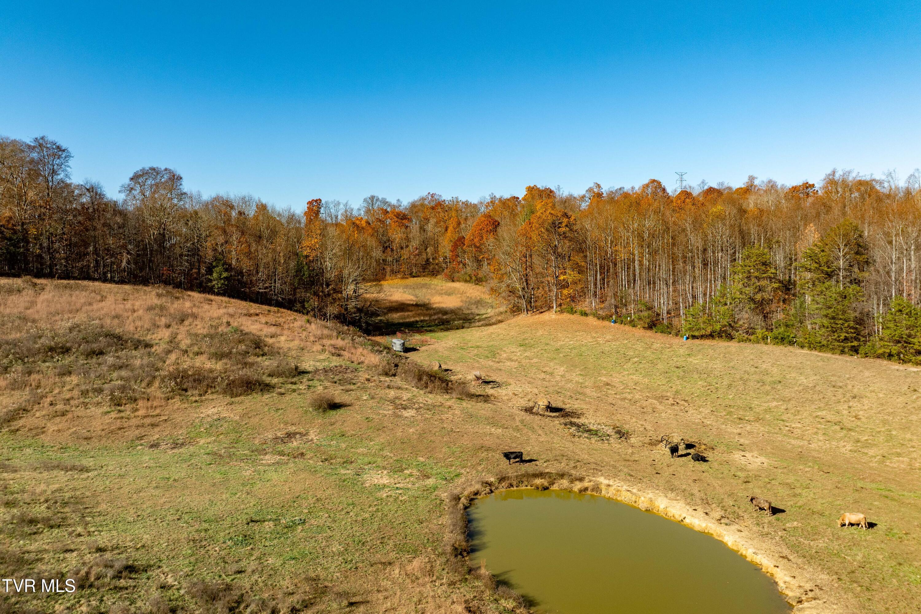 2638 South 81 Highway