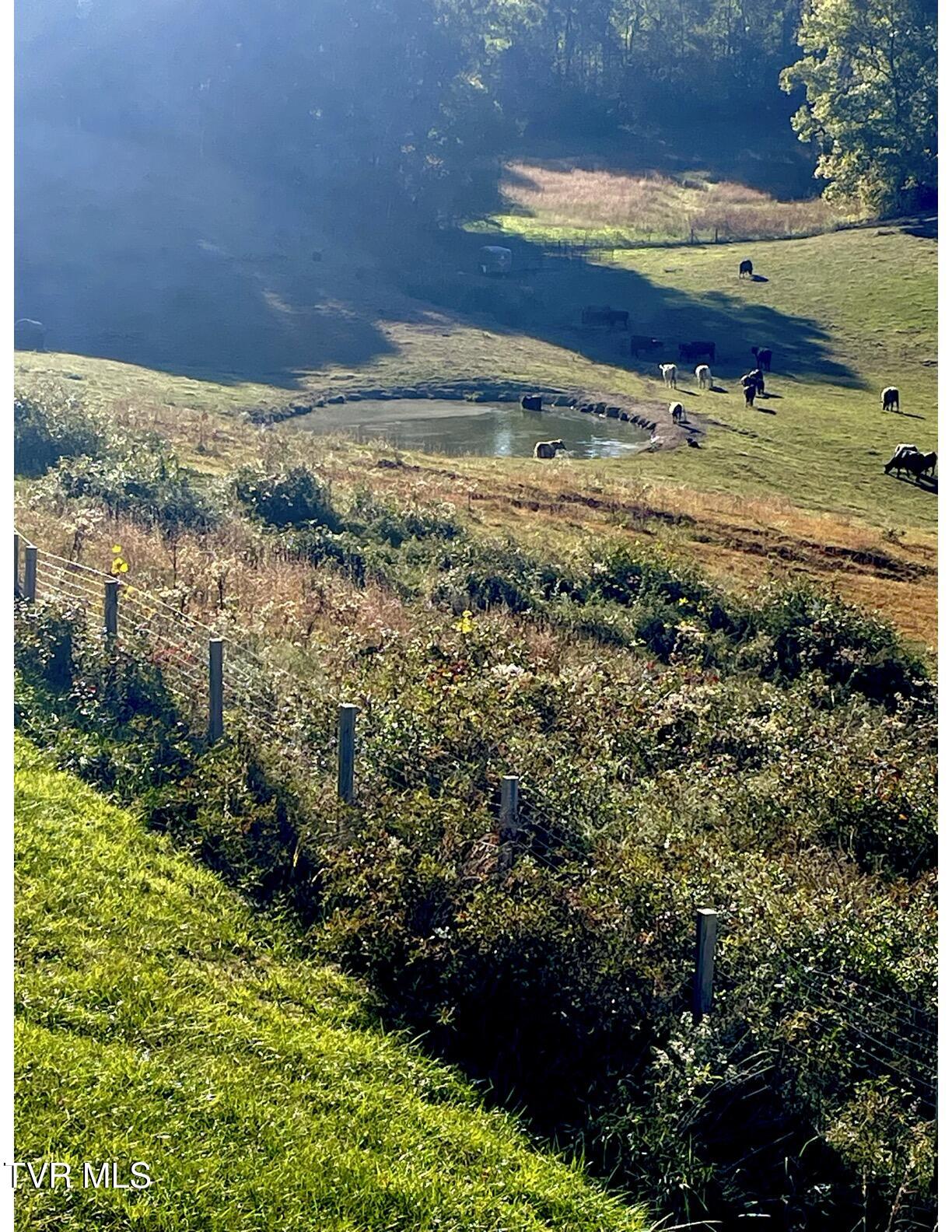 2638 South 81 Highway