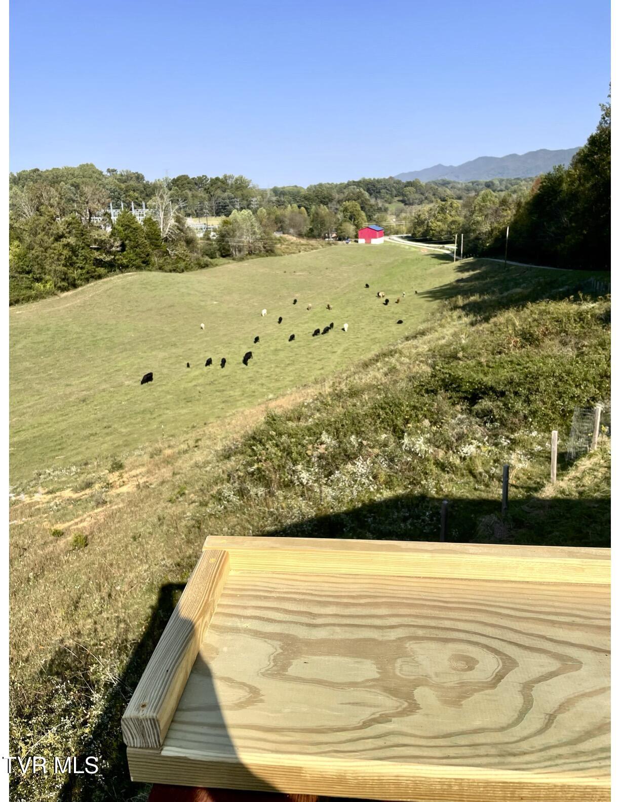 2638 South 81 Highway