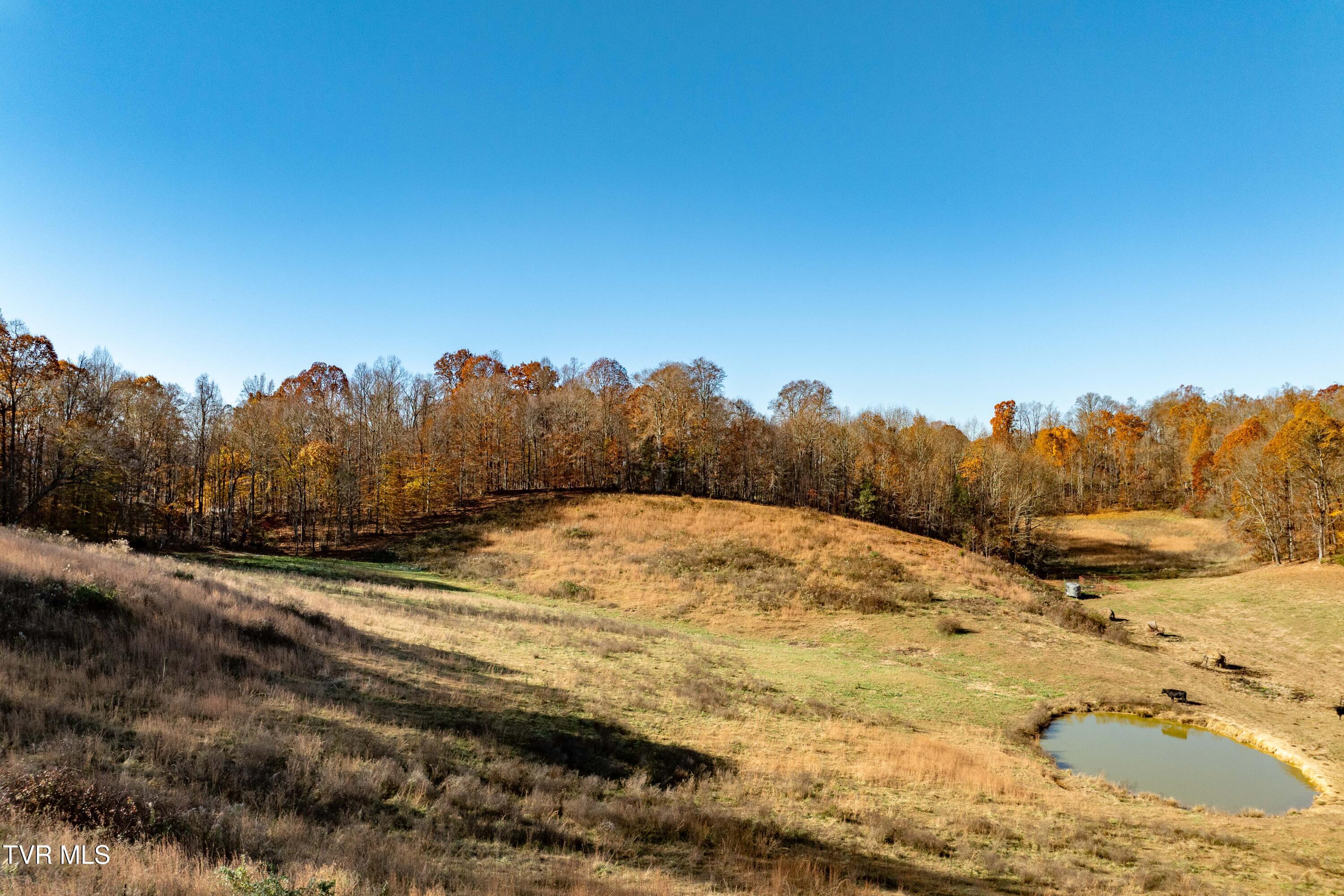 2638 South 81 Highway