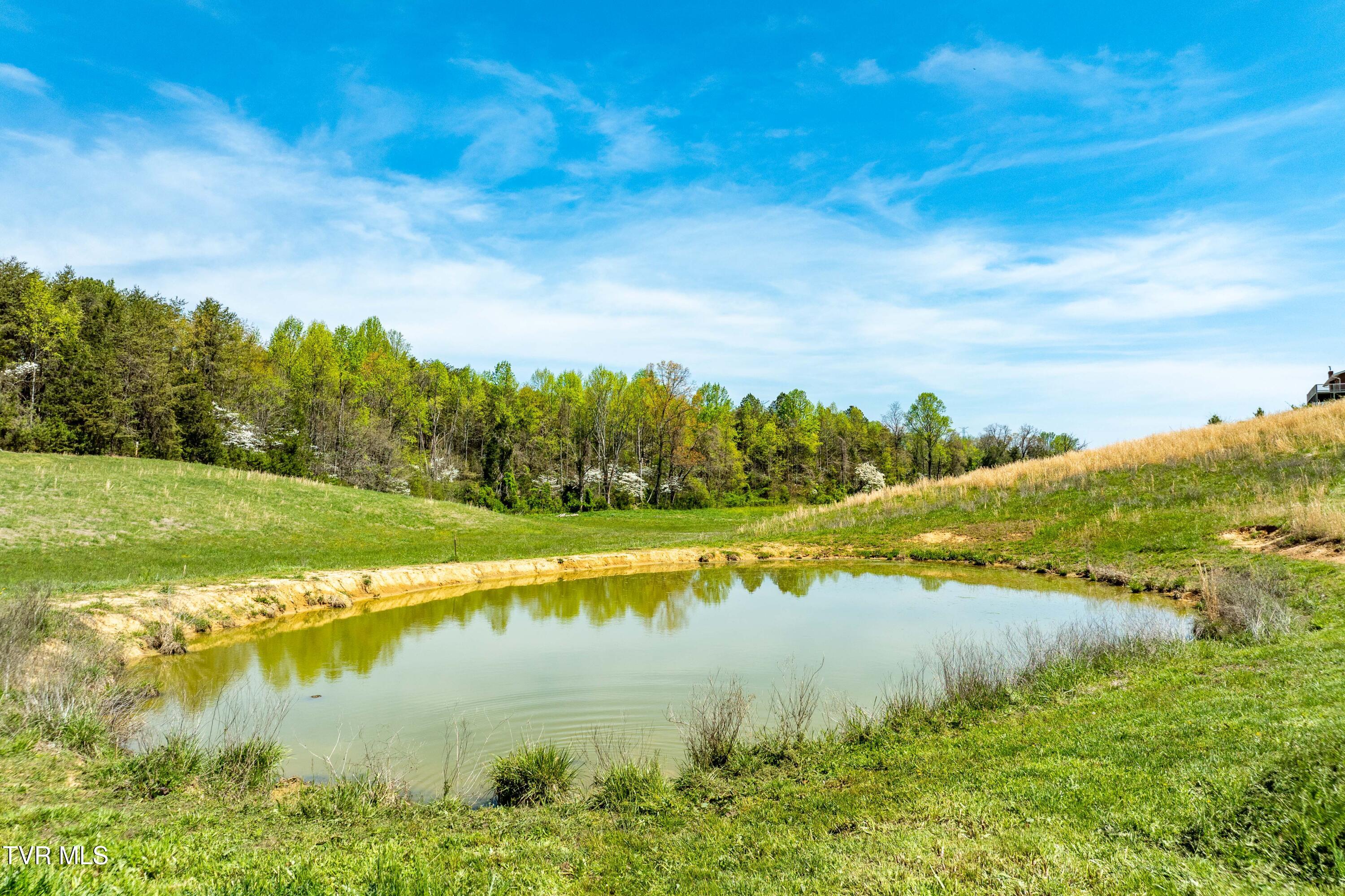 2638 South 81 Highway