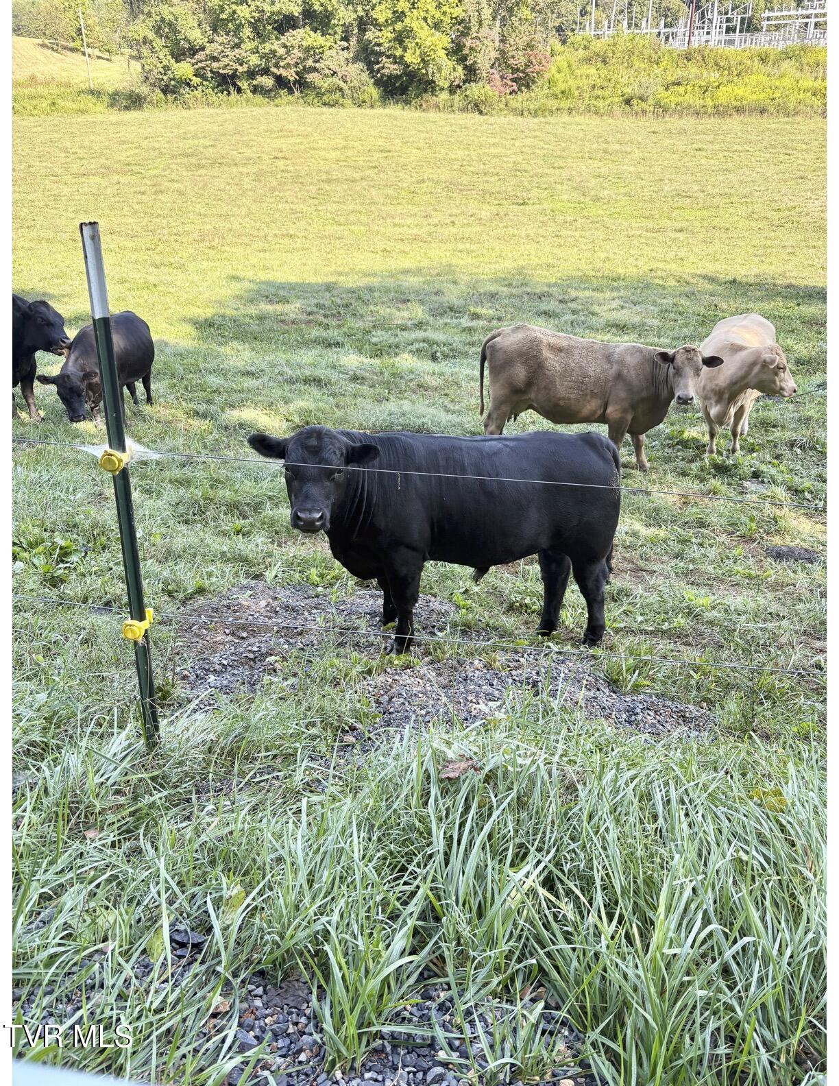 2638 South 81 Highway