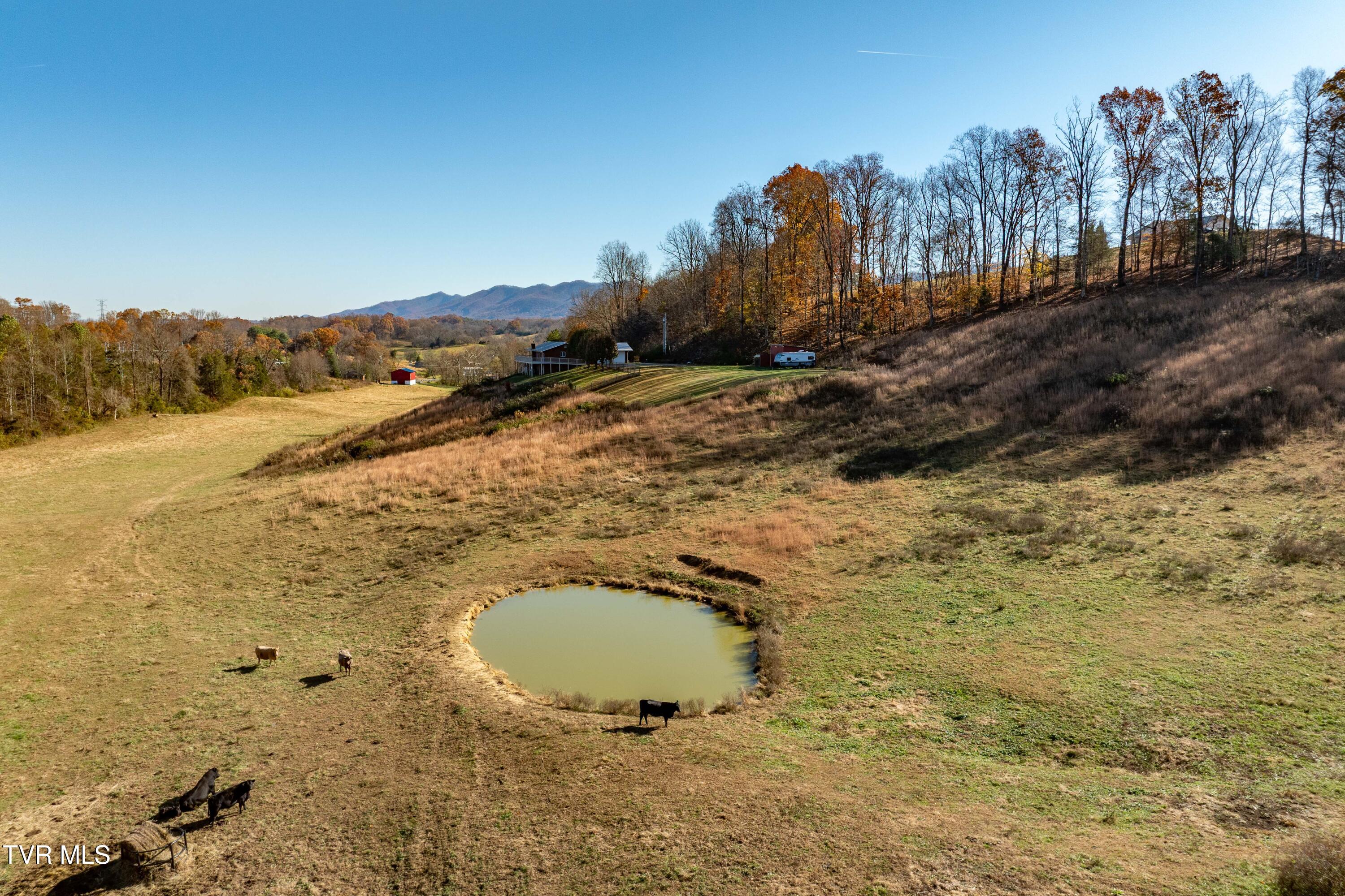 2638 South 81 Highway